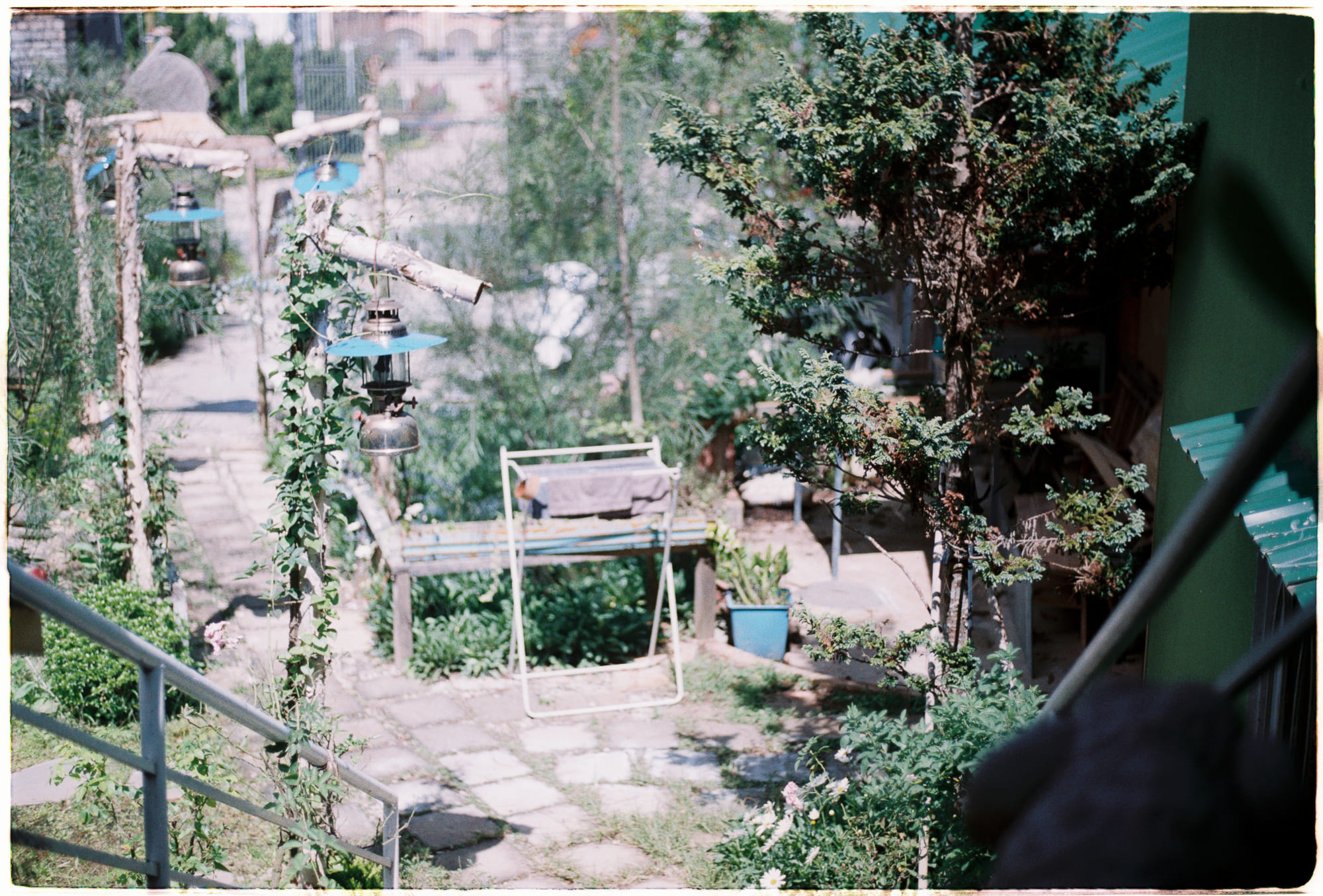 Lịch sử động vật có vú là lịch sử con người