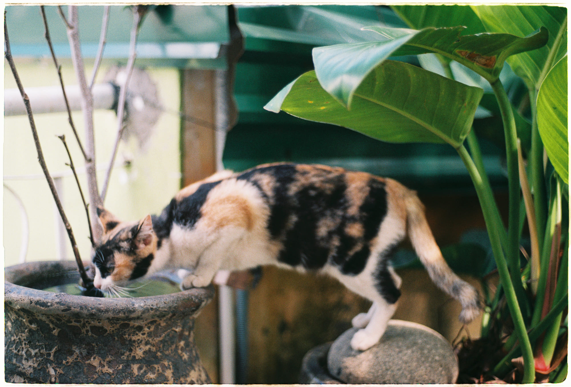 Khi nhắp nhang, chúng ta nên nghĩ gì?