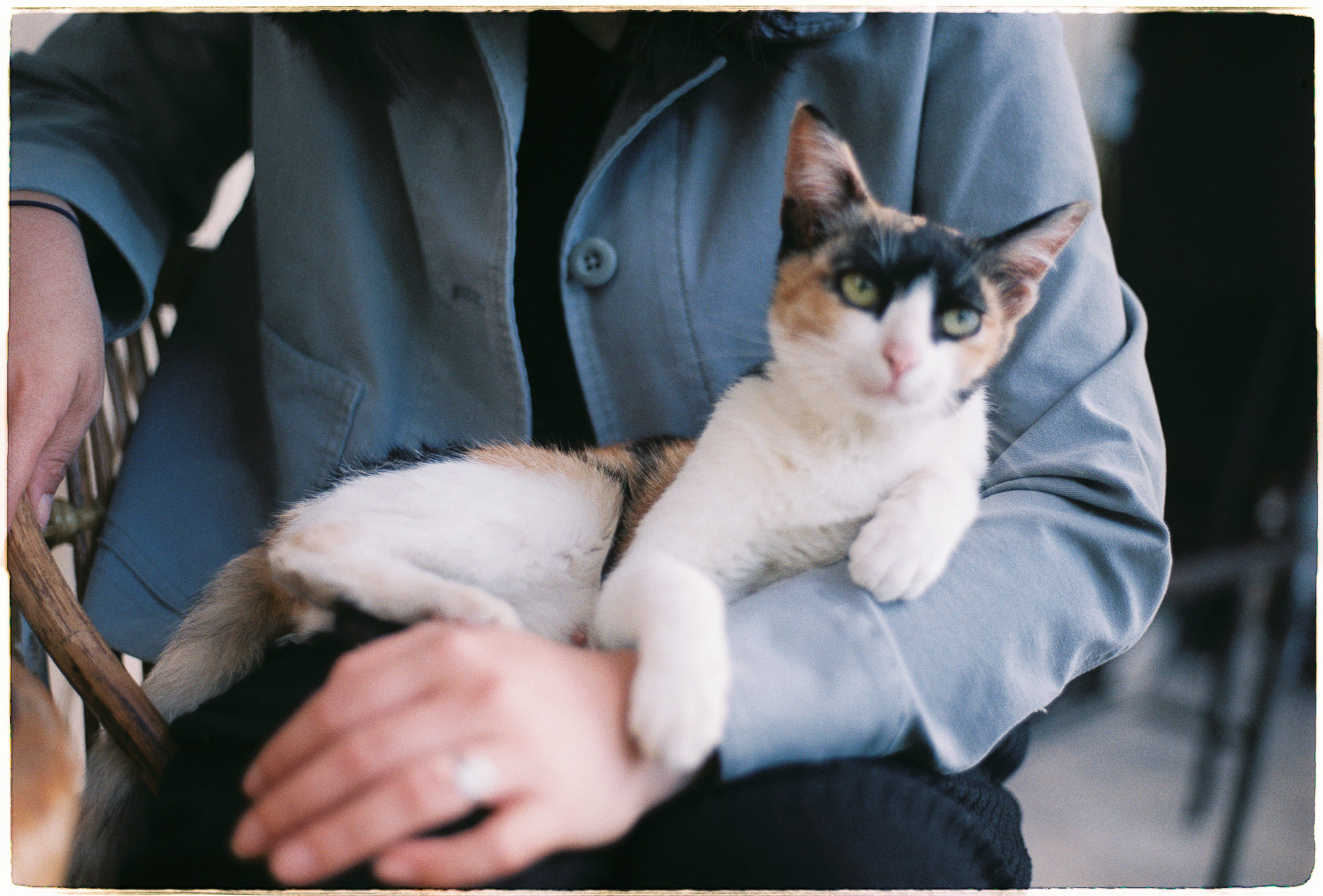 Thảm họa 1948 và vấn đề người tị nạn Palestine còn bỏ ngỏ