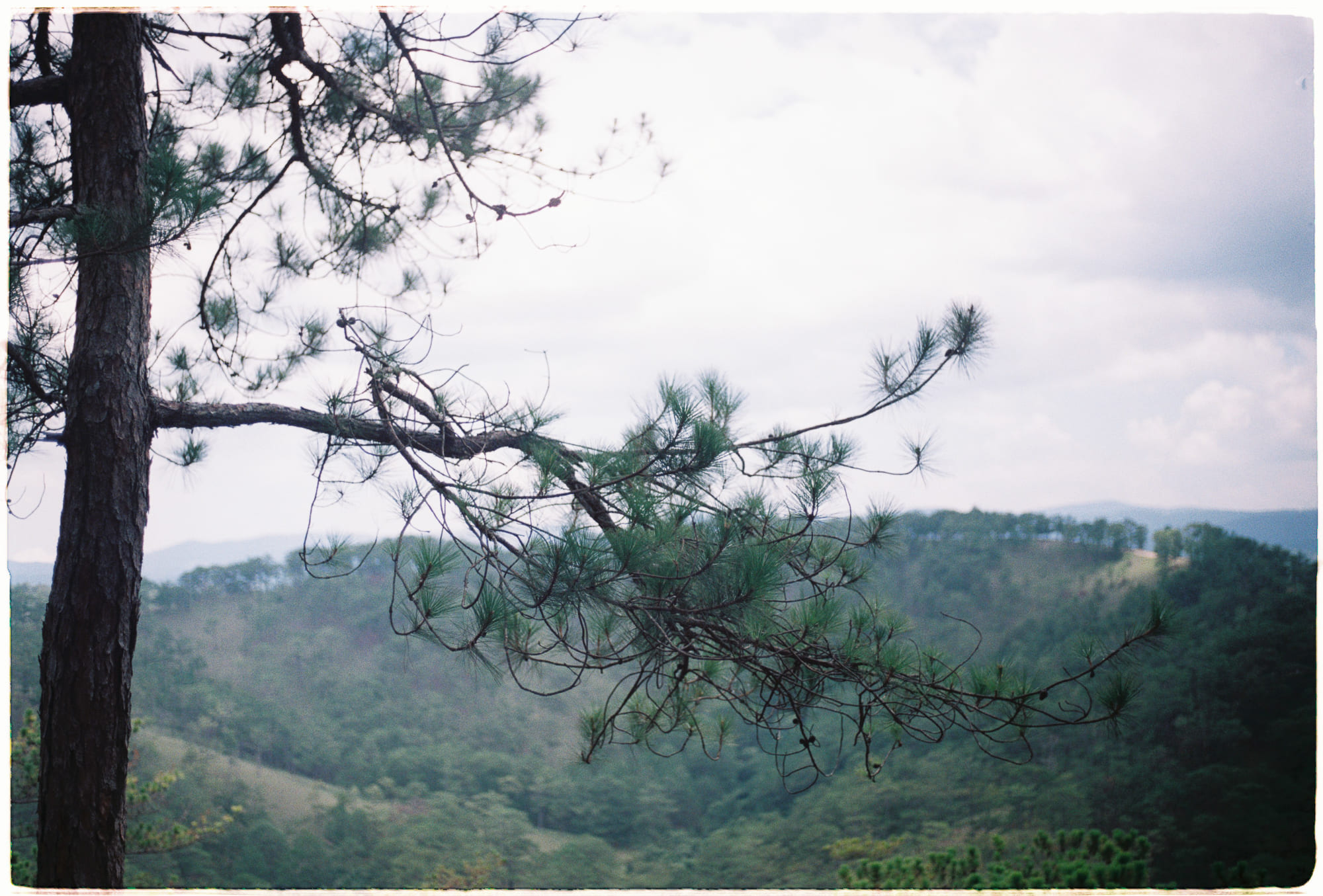 Tam học (Trishiksha – 三學) là gì? Tam học (Trishiksha – 三學) là gì? 376 – ton giao, phat giao, tam bao, tam hoc, gioi, dinh, tue, thuc hanh ton giao, kien thuc phat giao, kien thuc ton giao.