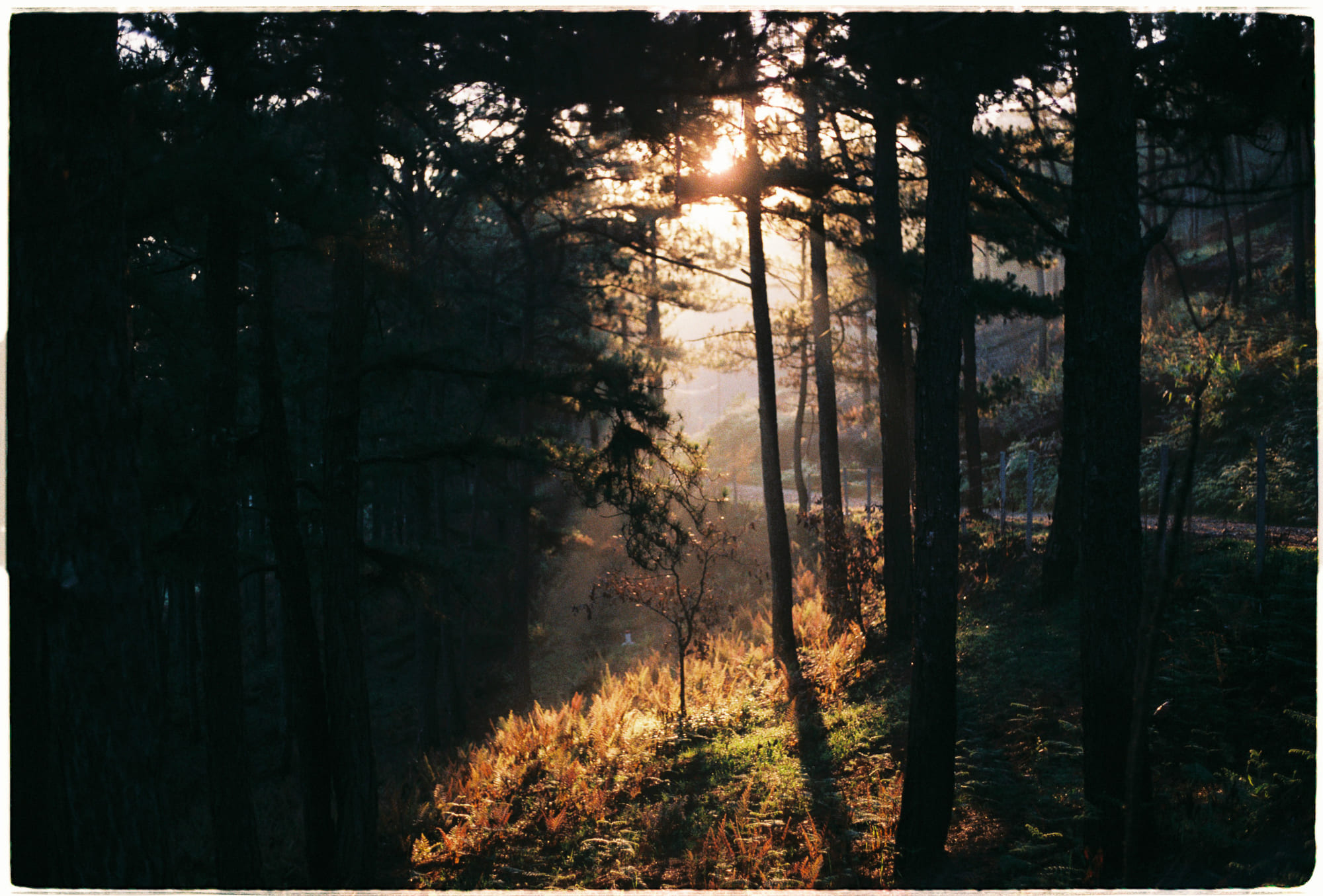 Vì sao AI kẹt trong vòng lặp vô tận?