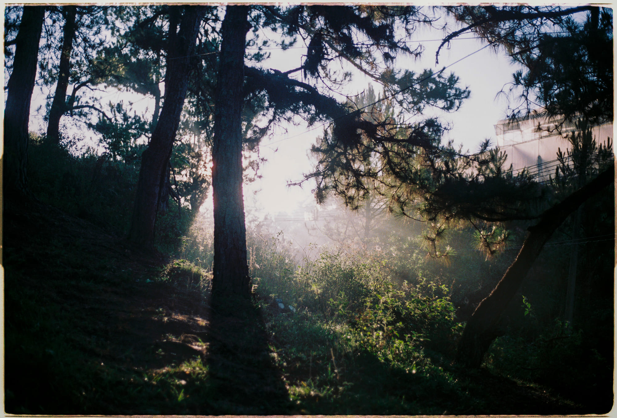 Kiểm soát mất quyền lực để thành công