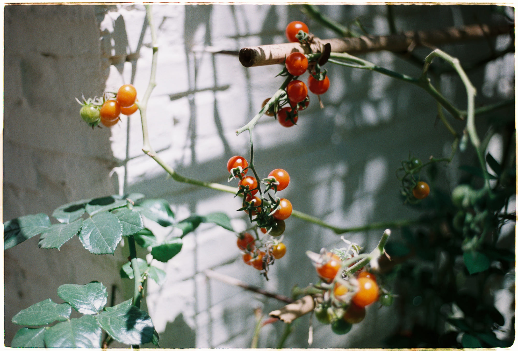 Hỏi đáp từ trái tim | Chương 01