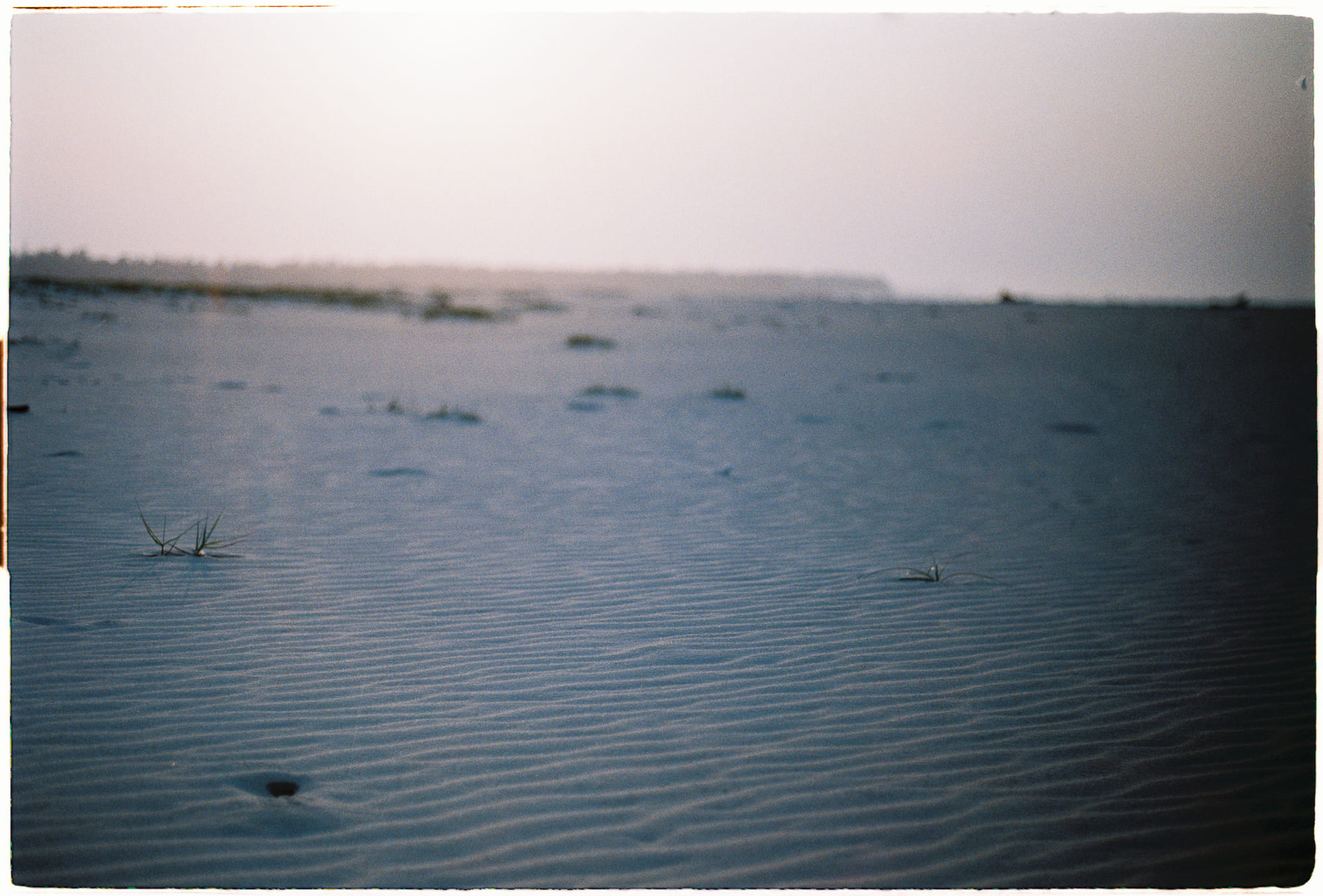 Danh sách theo thẻ bài phat-trien-ban-than, trang 5