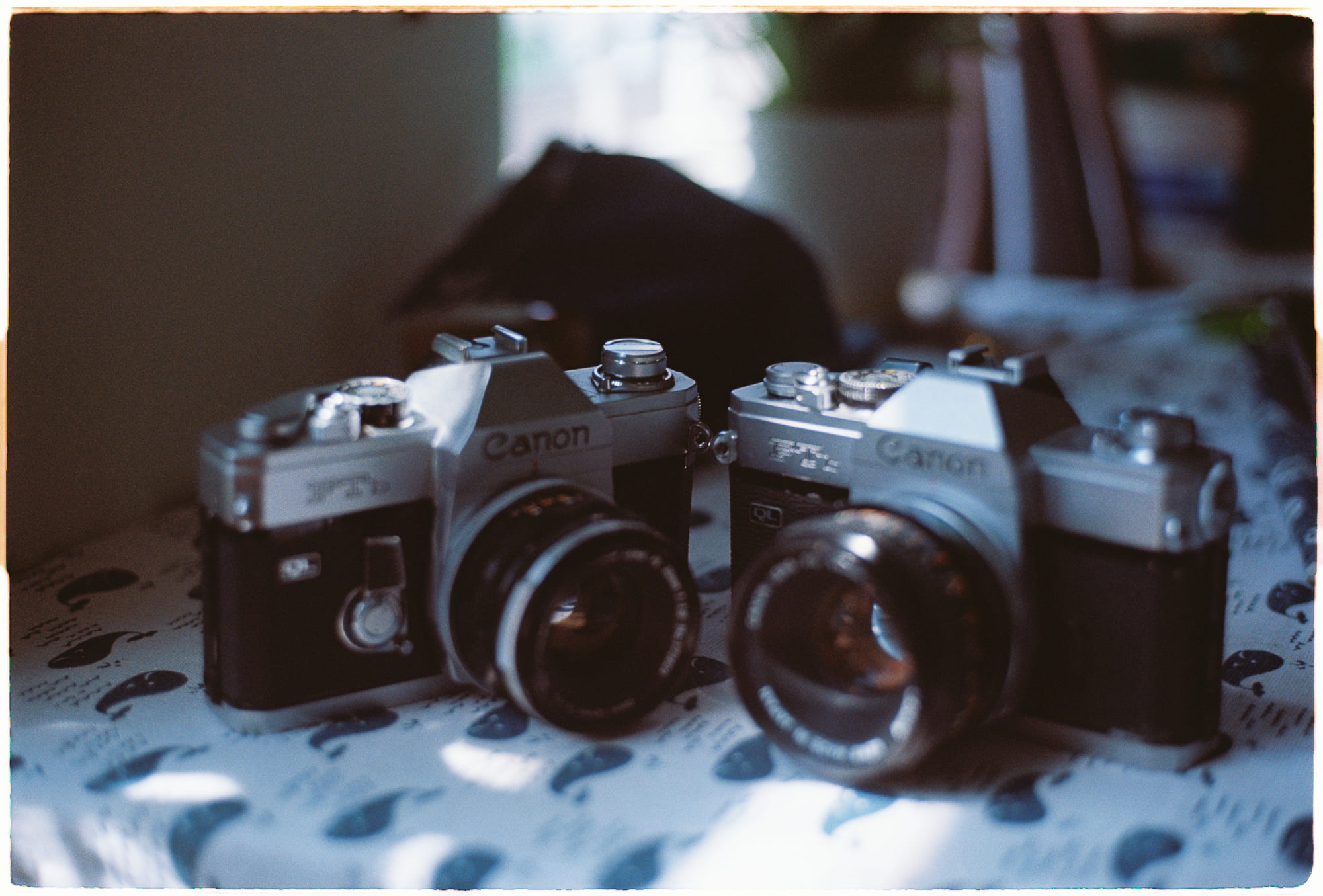 Tái tạo nông nghiệp đối phó biến đổi khí hậu 572 – khoa hoc, tien hoa, dong vat, tai tao nong nghiep, bien doi khi hau.