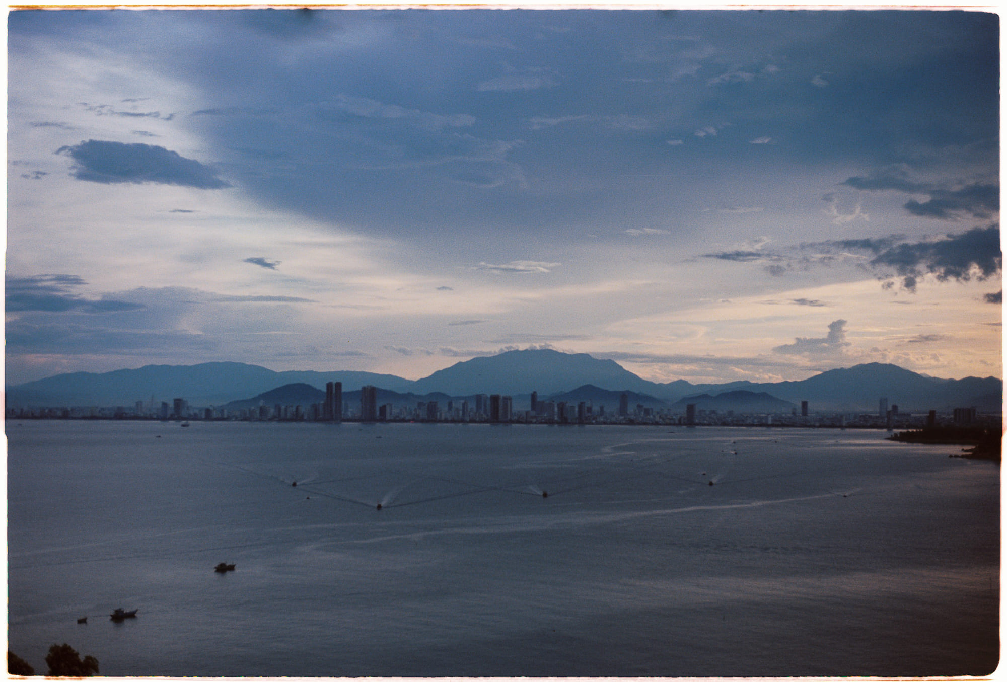 Tại sao vào mùa đông nhiều loài chim lại kéo nhau về phương nam? 437 – khoa hoc, sinh hoc, di cu, chim di cu, hanh trinh di cu, chim bay ve nam.