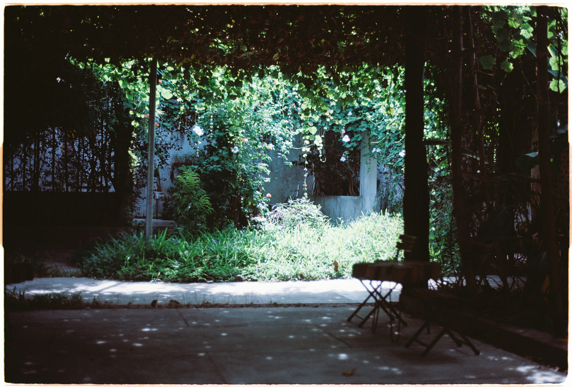 Tối ưu tập trung bằng băng thông ý thức Tối ưu tập trung bằng băng thông ý thức 599 – khoa hoc, xa hoi hoc, sinh hoc, y hoc, tam ly hoc, cong nghe, cong nghe dot phat, tu duy, tam than hoc, y thuc, bang thong y thuc, conscious bandwidth, nghien cuu khoa hoc, nghien cuu nao bo, nhan thuc.