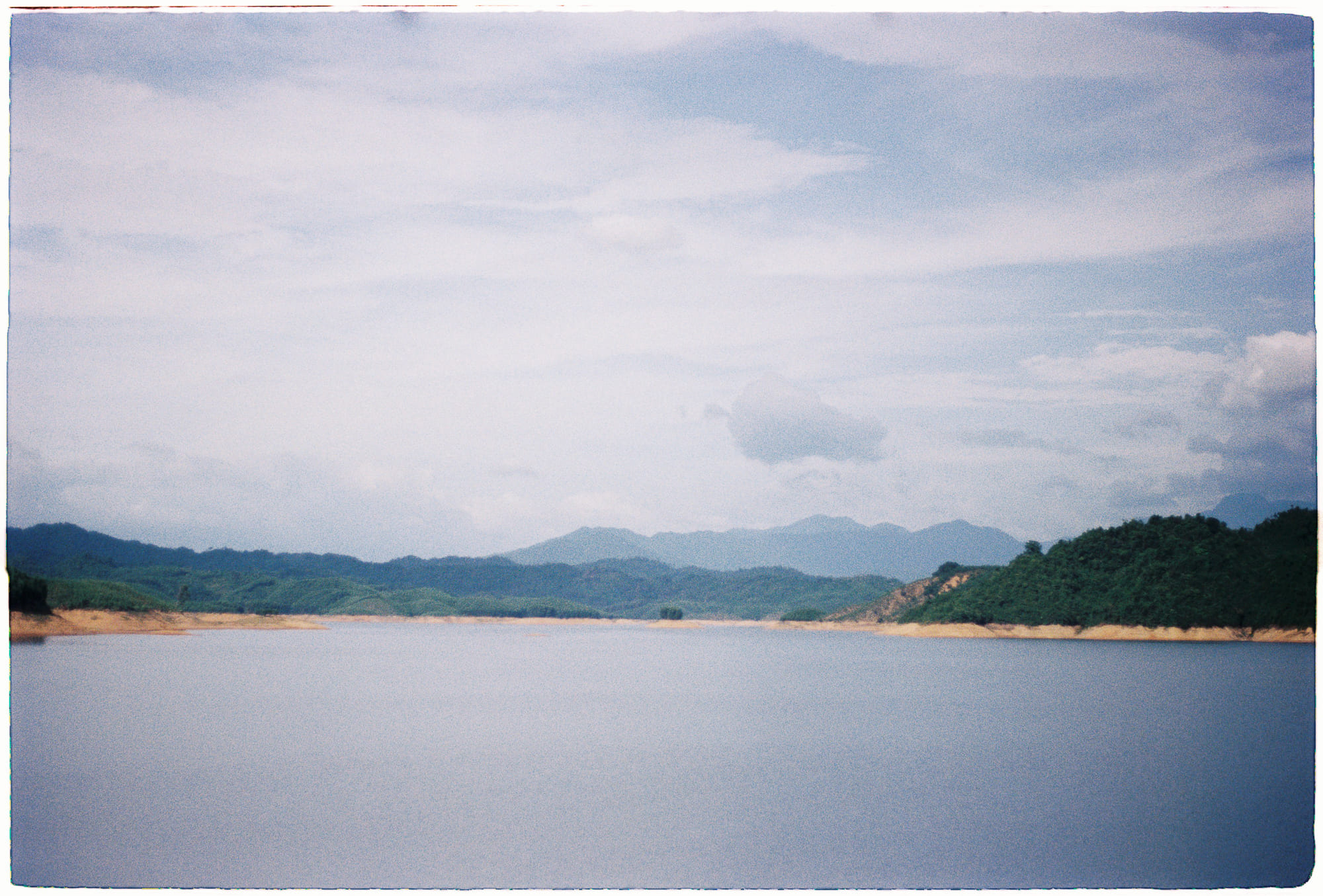 Có thể có quá nhiều cây hay không? 480 – khoa hoc, thuc vat, lam phat cay coi, lam phat cay.