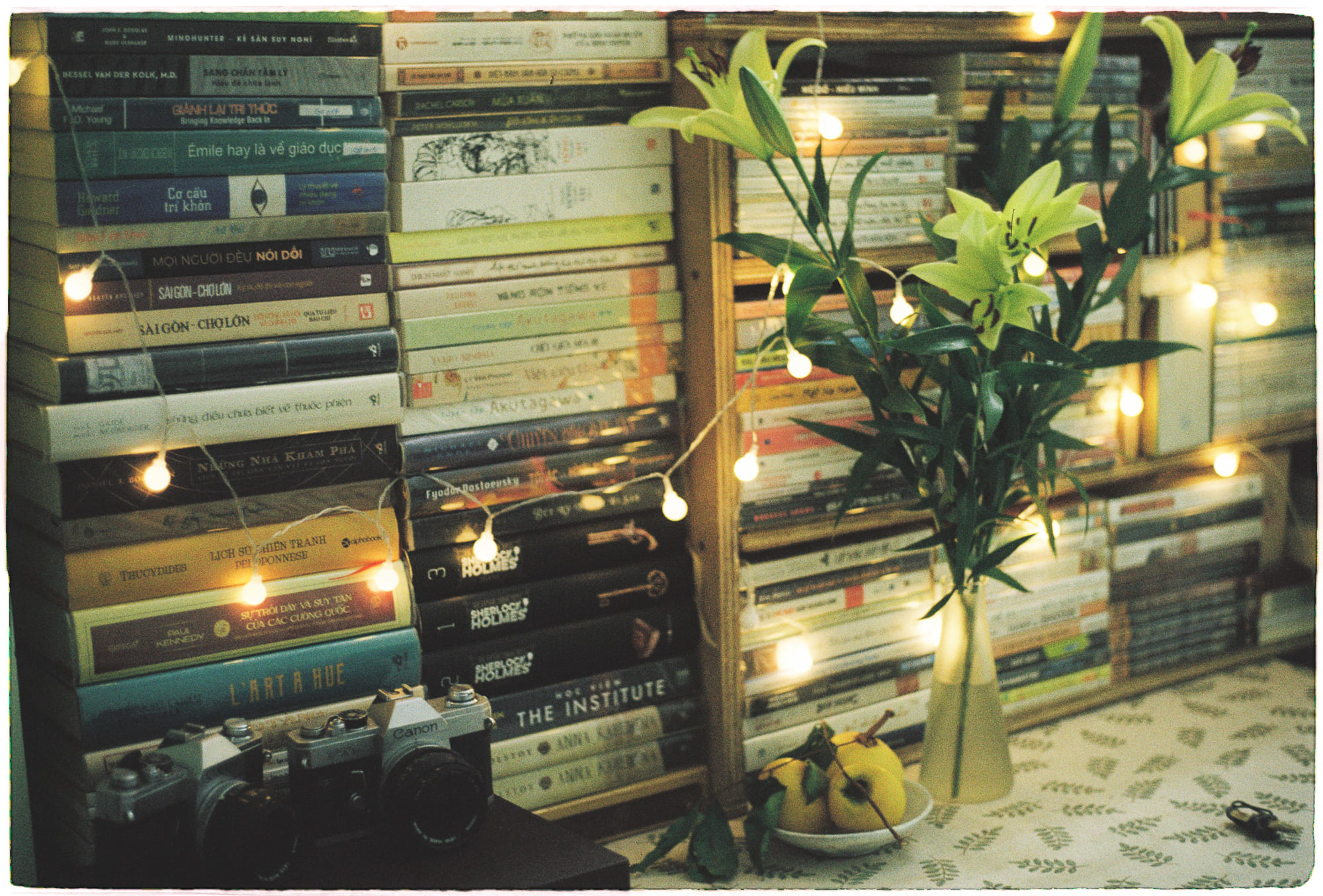 Cái chết khủng long giúp thú có vú phát triển Cái chết khủng long giúp thú có vú phát triển 009 – khoa hoc, sinh hoc, khung long, dong vat co vu, tap tinh, tap tinh ve dem, cai chet khung long.