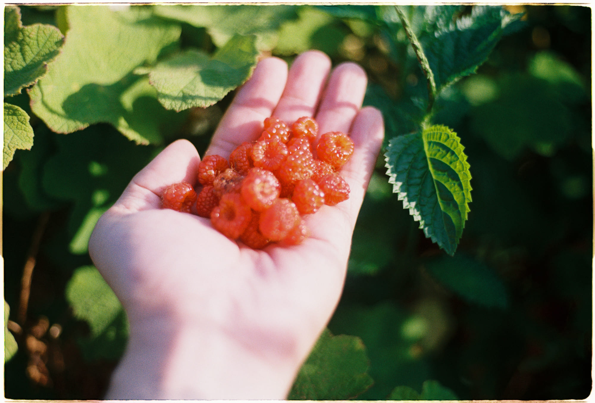 Chạy bền là tài năng tiềm ẩn của loài người 783 – khoa hoc, sinh hoc, con nguoi, chay bo, chay ben, tai nang chay ben.