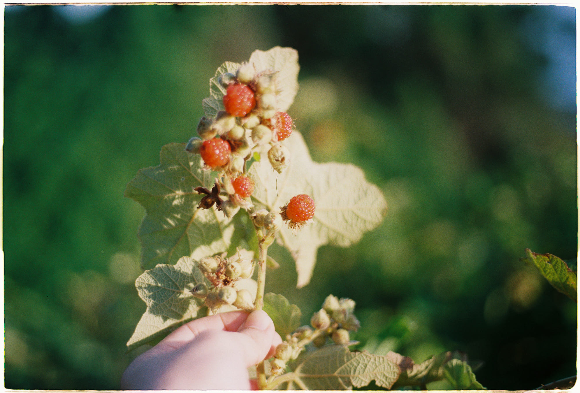 Di cư nông thôn và sự xói mòn vốn xã hội, tri thức địa phương trong làng quê Việt Nam như thế nào? 265 – viet lach, nghien cuu, nghien cuu van hoa, van hoa, y thuc con nguoi, nhan hoc, ban sac dan toc, di cu, di cu van hoa, di cu lao dong, cultural double bind, anthropology, collective memory, national identity, cultural migration, cultural disconnection, cultural double bind, cultural tension, cultural resettlement, indigenous community, ky uc tap the, mat ket noi van hoa, cang thang van hoa, tai dinh cu van hoa, cong dong ban dia, di san song va su bien doi van hoa trong doi song duong dai.