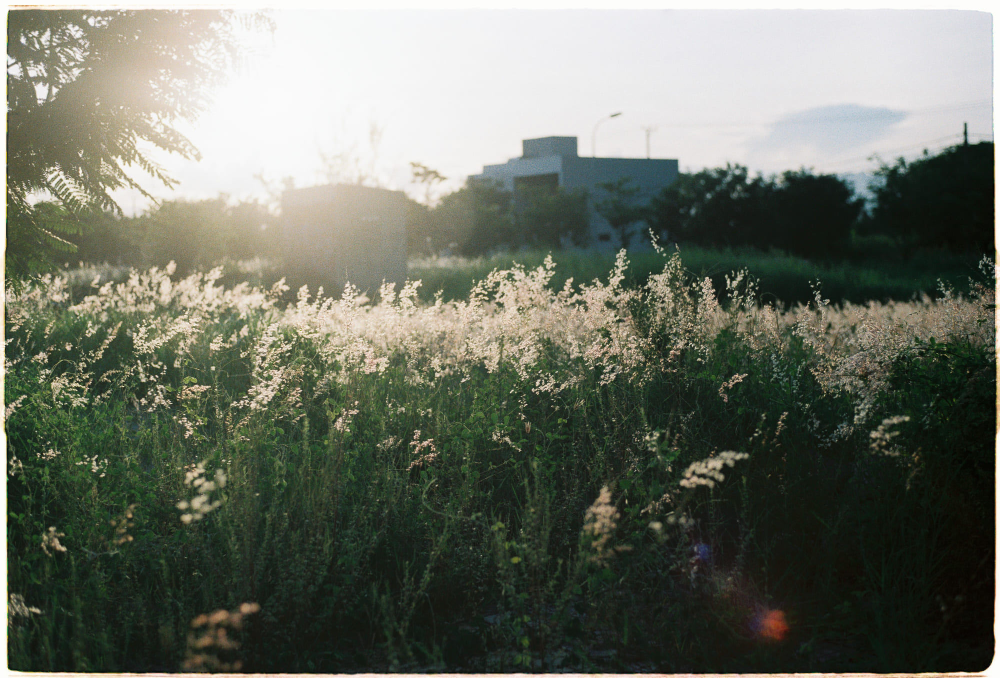 Danh sách theo thẻ bài ton-giao