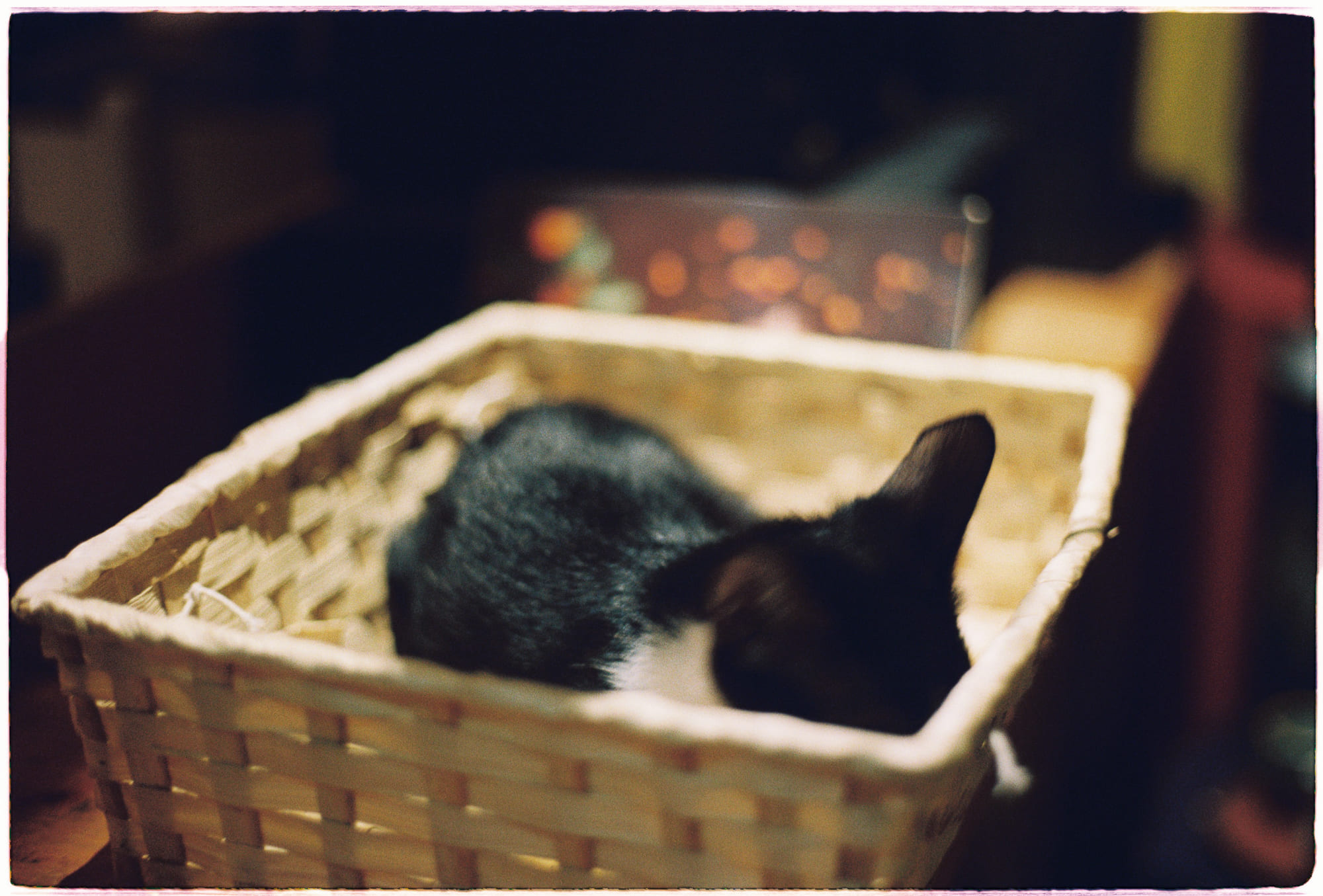 Francis Bacon và bốn rào cản đối với sự thật Francis Bacon và bốn rào cản đối với sự thật 381 – tam ly hoc, francis bacon, su that khach quan, triet hoc, triet gia, su kien rao can.