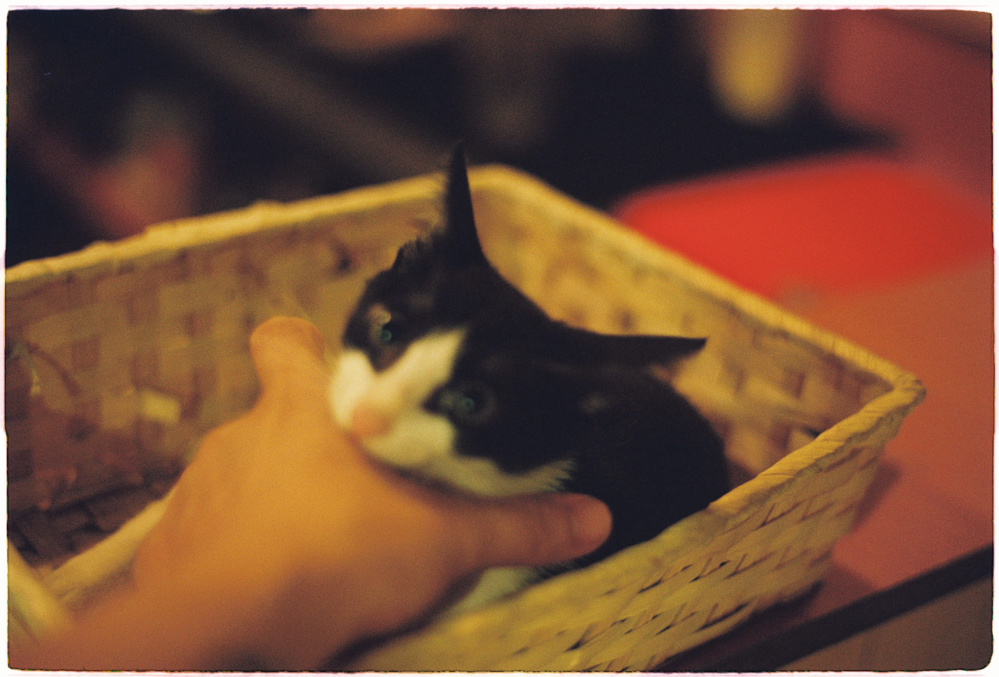 Khai thác dữ liệu cá nhân từ nguồn công khai 873 – viet lach, du lieu, du lieu ca nhan, lo du lieu ca nhan, stalk, thong tin ca nhan, mua ban thong tin ca nhan, bao mat du lieu, khai thac du lieu.