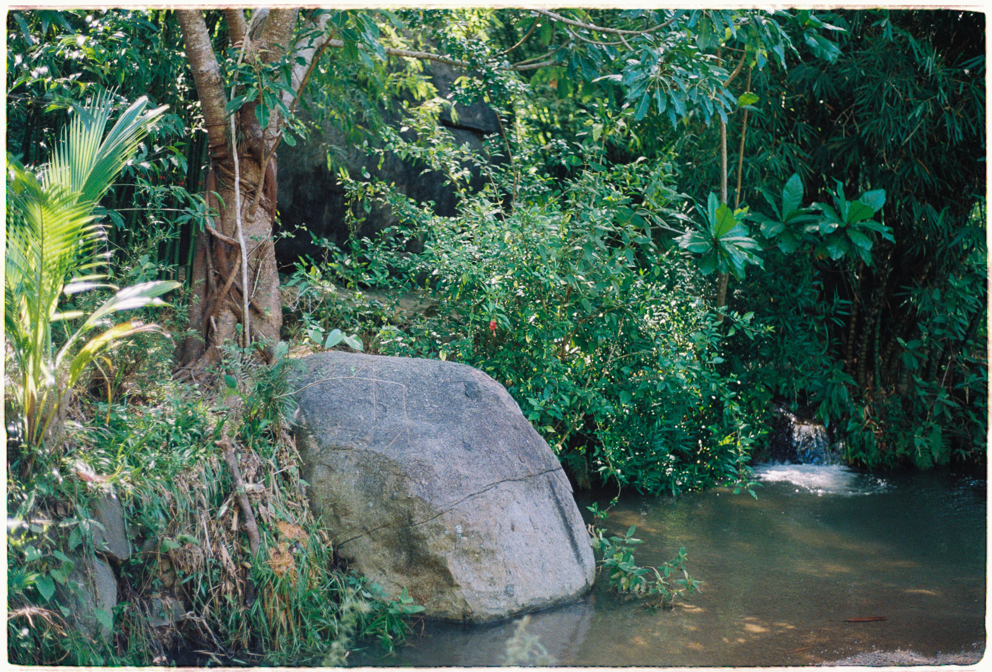 Diễn từ Nobel Văn học 2001 – Hai thế giới, V. S. Naipaul Diễn từ Nobel Văn học 2001 – Hai thế giới, V. S. Naipaul 195 – nobel, nobel van hoc, nobel van hoc 2001, v s naipaul, dien tu nobel van hoc, dien tu nobel, dien tu nobel van hoc 2001, dien tu van hoc 2001.