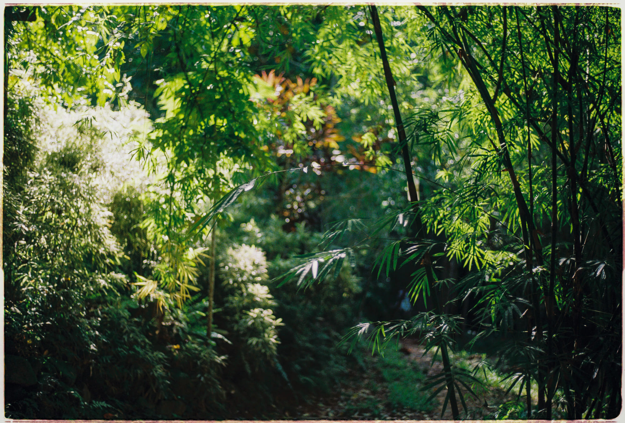 Đạt trạng thái flow state cho sáng tạo tự nhiên 936 – phat trien ban than, khoa hoc, ky nang, ky nang chuyen mon, thanh cong, tam ly hoc, nhan thuc ban than, cai thien ban than, flow state, trang thai dong chay, workflow.