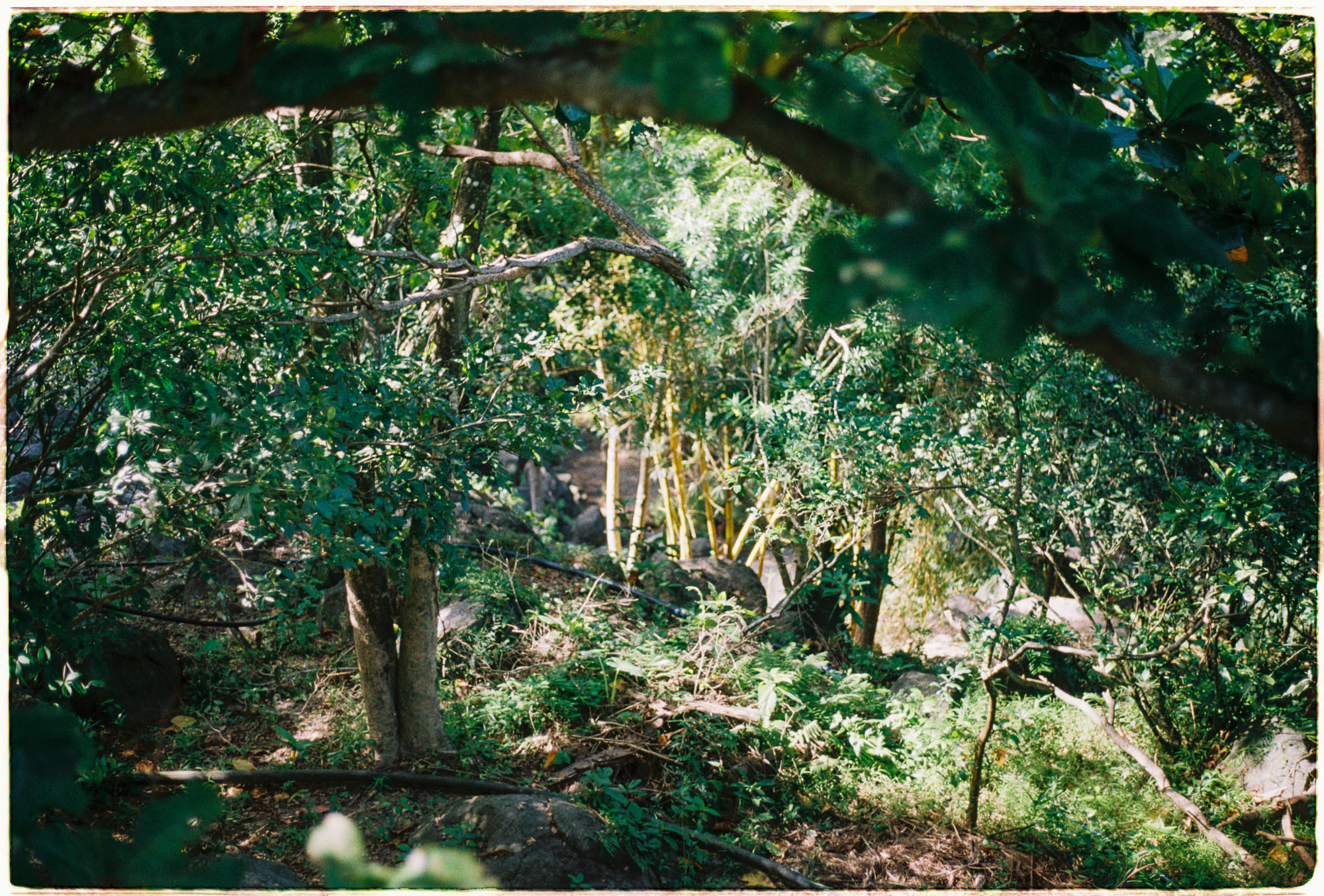 Điều gì làm cho một người trở thành anh hùng? 184 – tam ly hoc, ton giao, phat giao, triet hoc, chu nghia anh hung, anh hung.