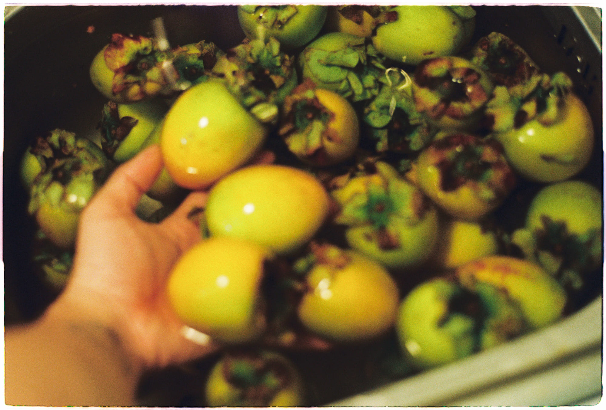 Tắm mưa để gột rửa tâm hồn 618 – viet lach, ton giao, phat giao, thien van, thuc hanh ton giao, mua rung tam hon.