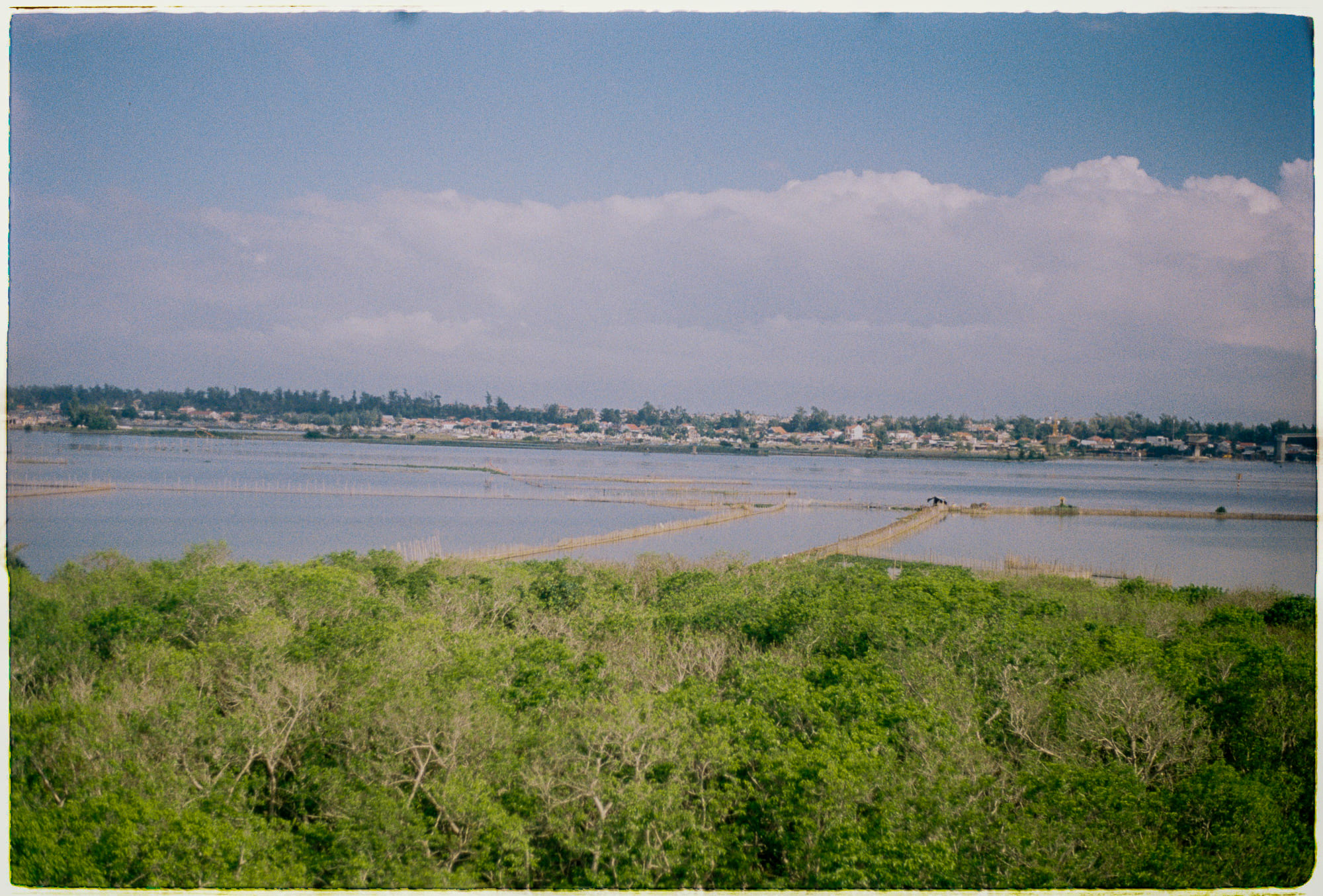 Bưu thiếp nhân học thú vị của Michael Taussig 867 – nghien cuu, van hoa, nhan hoc, michael taussig, buu thiep nhan hoc, bo suu tap, bo suu tap buu thiep, buu thiep.