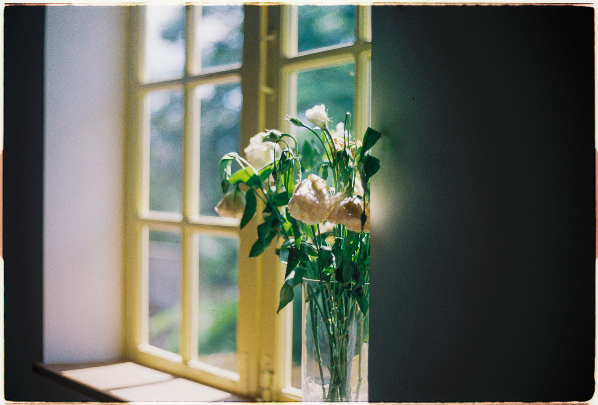 Đạo Phật đi vào cuộc đời | Chương 05