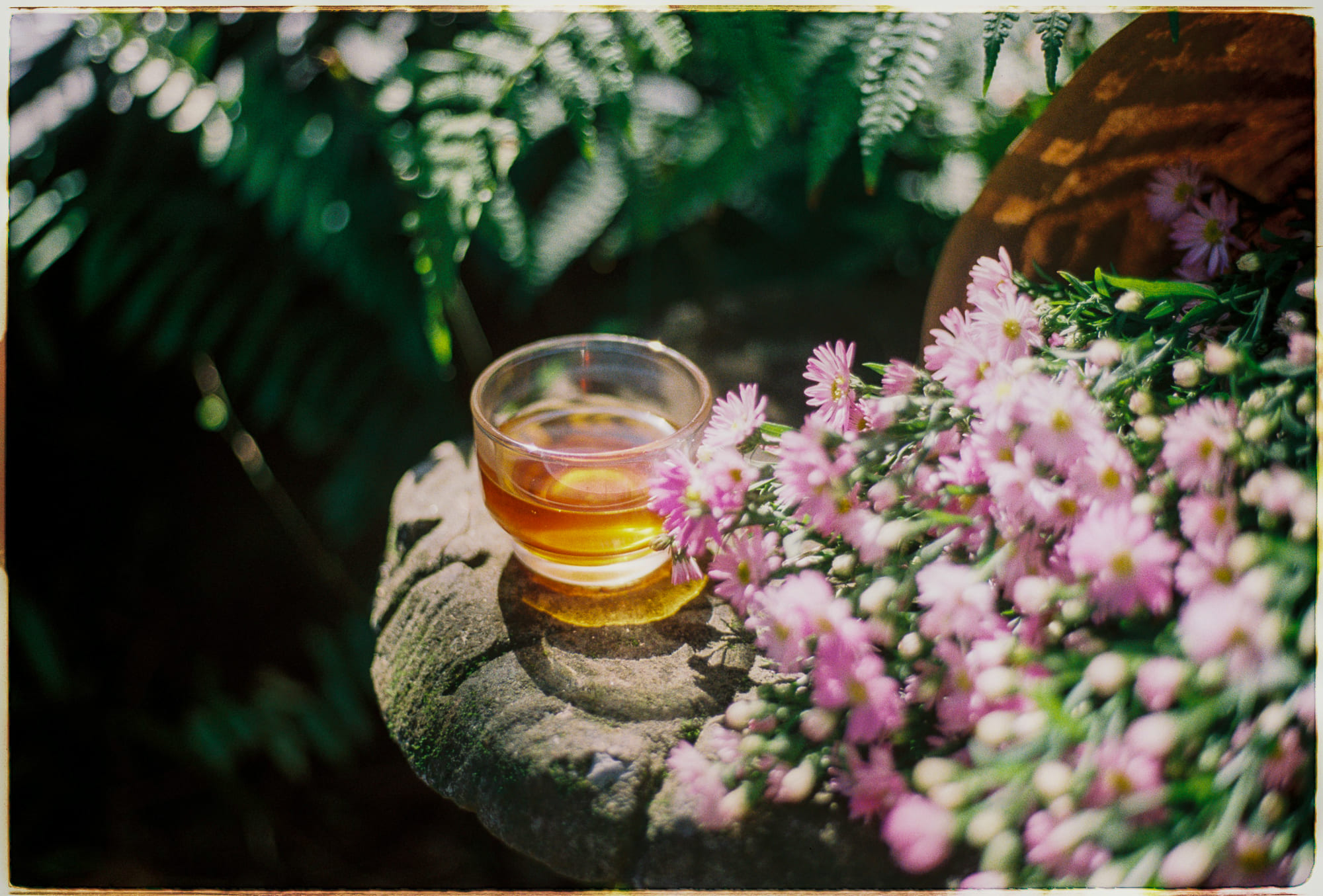 Côn trùng tiết lộ thuốc và chất độc tại hiện trường 608 – con trung hoc, khoa hoc, an mang, dieu tra pha an, con trung pha an.