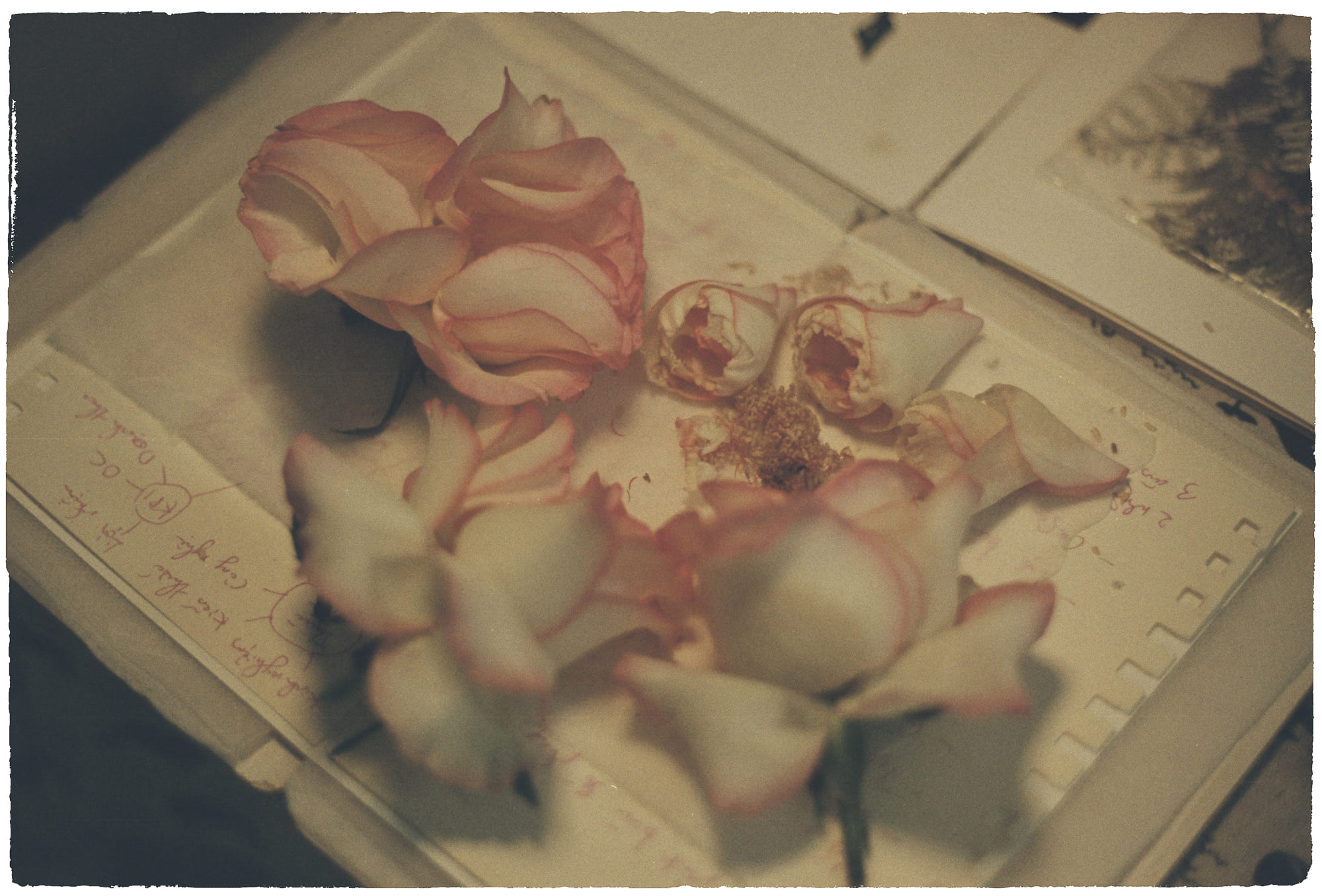 Không gian sâu thẳm hoàn toàn tối, New Horizons 604 – khoa hoc, vu tru, vat ly thien van, khoa hoc vu tru, vat ly luong tu, khong gian vu tru, khong gian sau tham, new horizons.