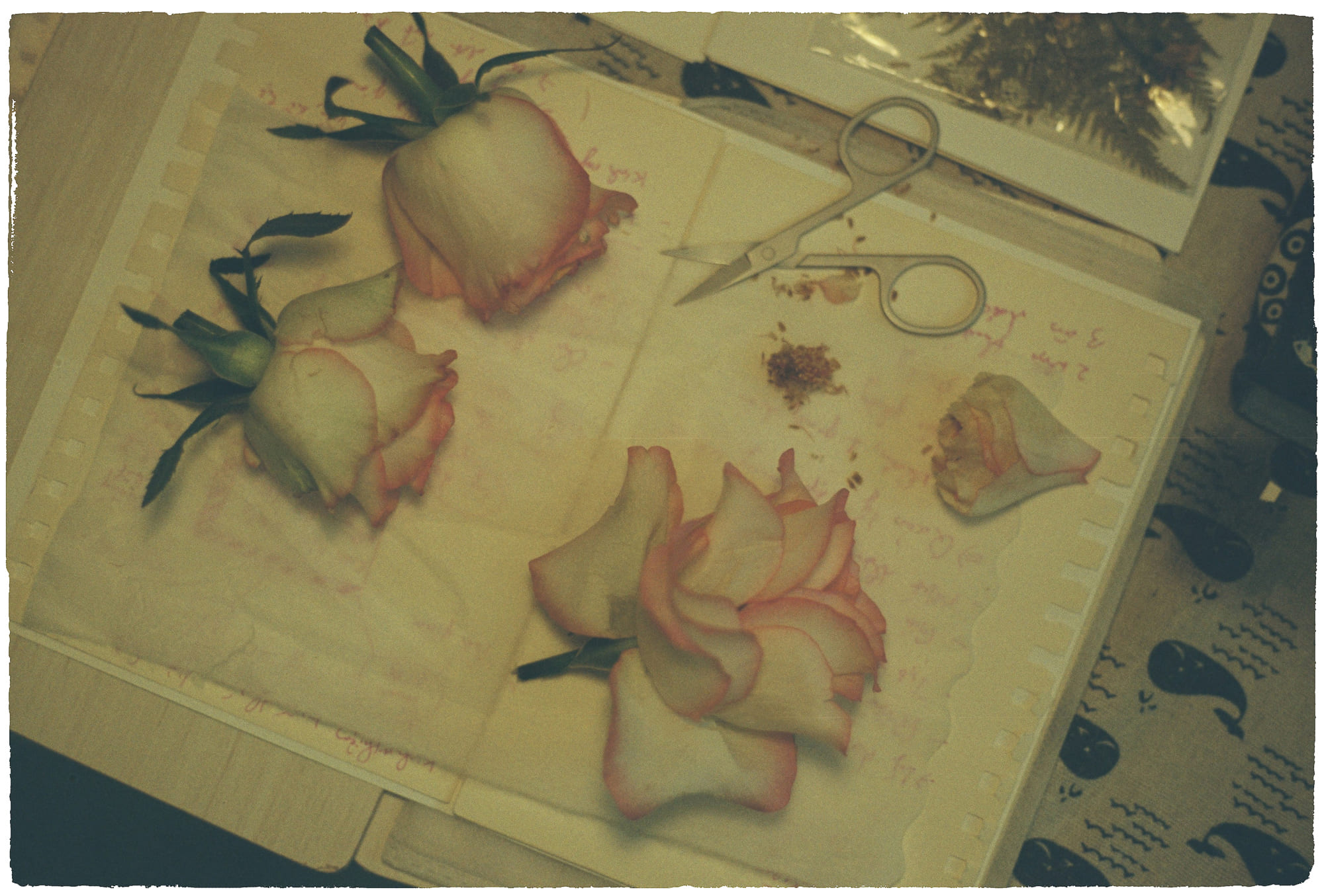 Hội chứng Tourette thành hiện tượng lan truyền 519 – khoa hoc, suc khoe, hysteria, tiktok, mass sociogenic illness, mass psychogenic illness, tourette, roi loan tap the, co giat tiktok.