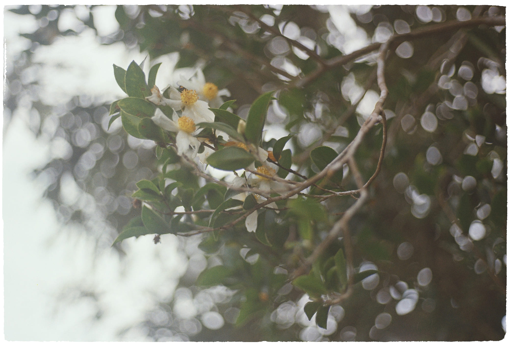 Tứ vô lượng tâm (Brahmavihāra – 四無量心) là gì? Tứ vô lượng tâm (Brahmavihāra – 四無量心) là gì? 799 – ton giao, phat giao, tu vo luong tam, tam tam, bi tam, hi tam, xa tam, thuc hanh ton giao, kien thuc phat giao, kien thuc ton giao.