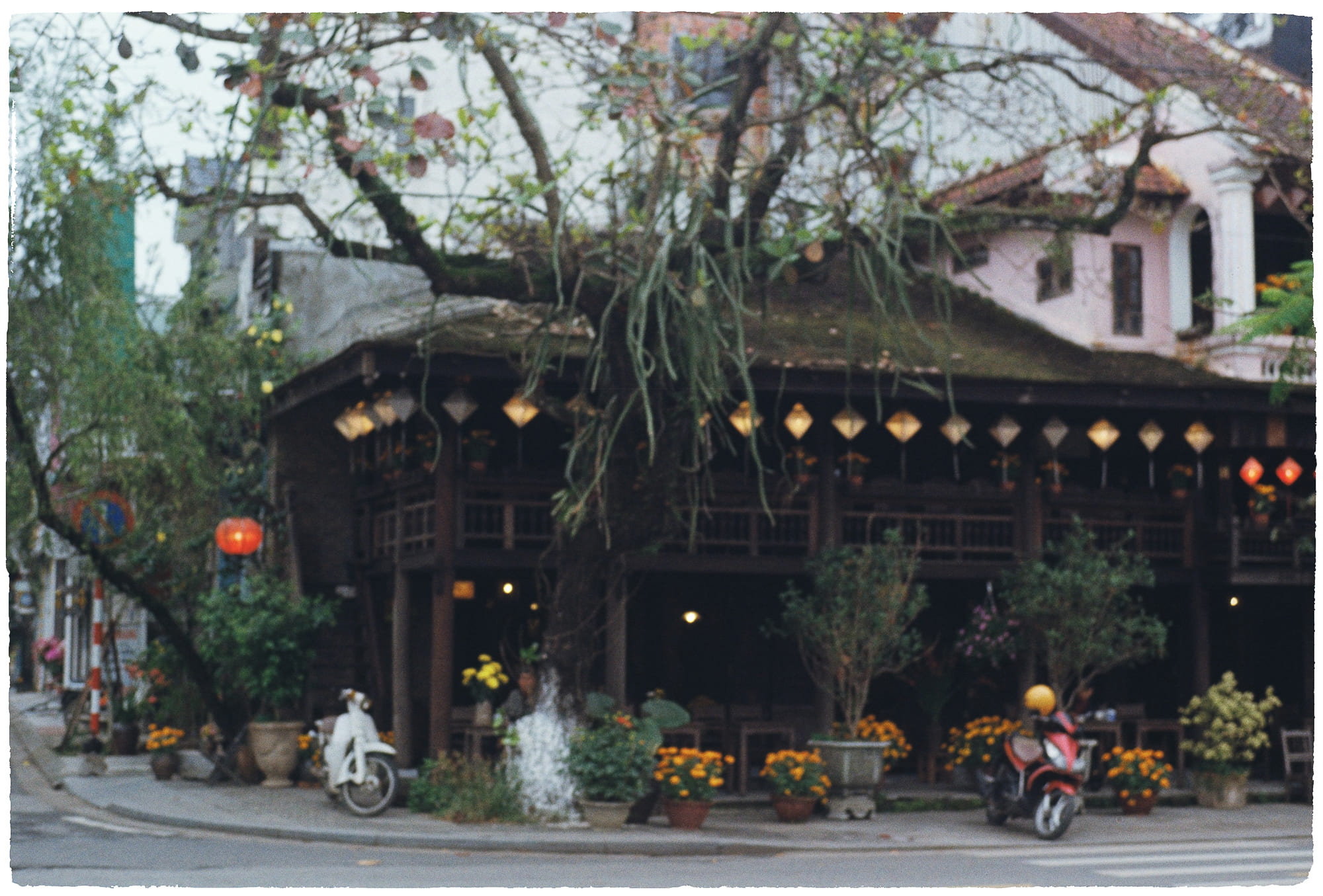 Giáng sinh trở thành lễ hội truyền thống Mỹ Giáng sinh trở thành lễ hội truyền thống Mỹ 383 – khoa hoc, lich su, nghien cuu, giang sinh, van hoa my, pho bien, van hoa dai chung, giang sinh truyen thong.