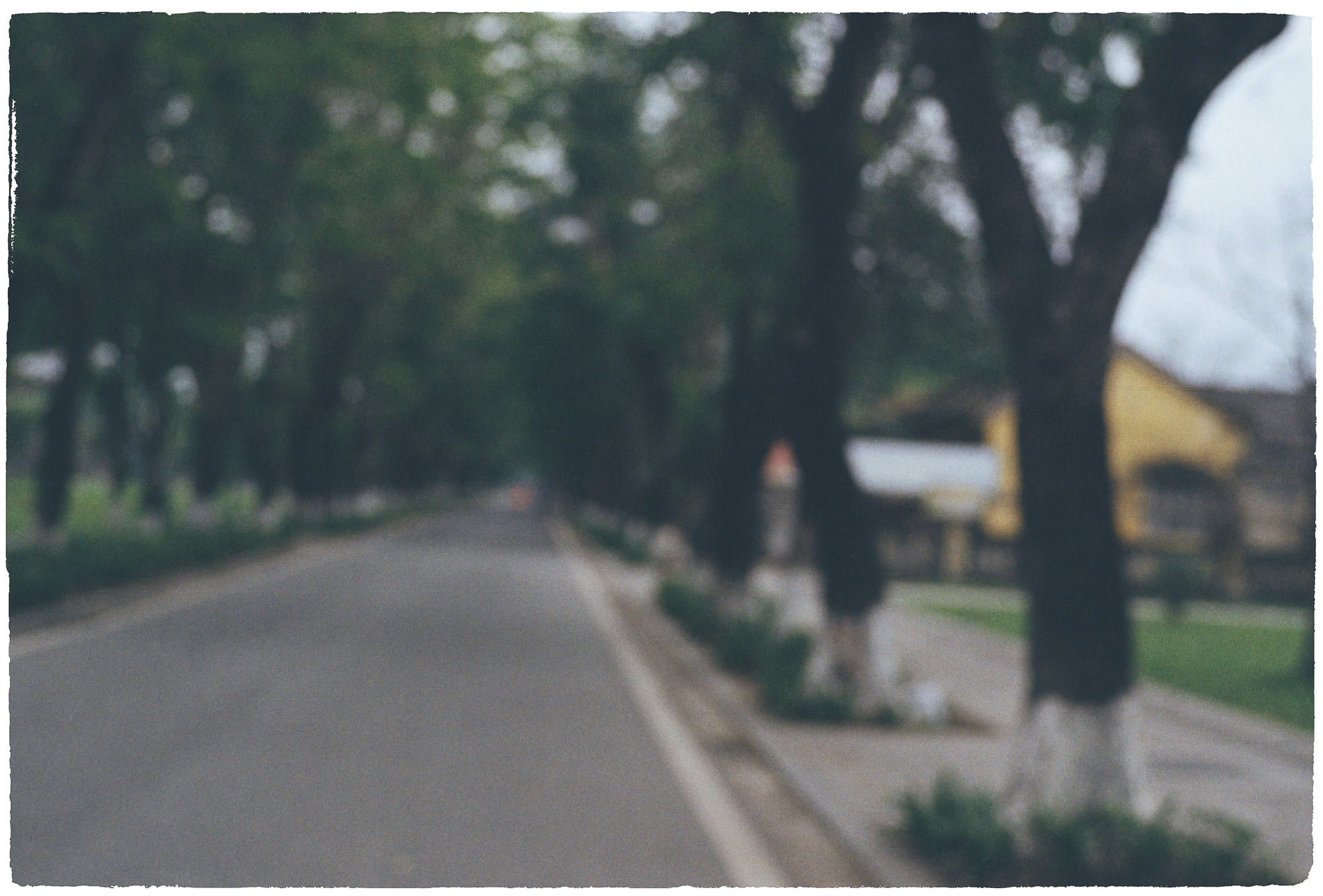 Vì sao gấu trúc có màu lông đen và trắng? Vì sao gấu trúc có màu lông đen và trắng? 148 – khoa hoc, sinh hoc, gau truc, den trang, gau truc den trang, tien hoa.