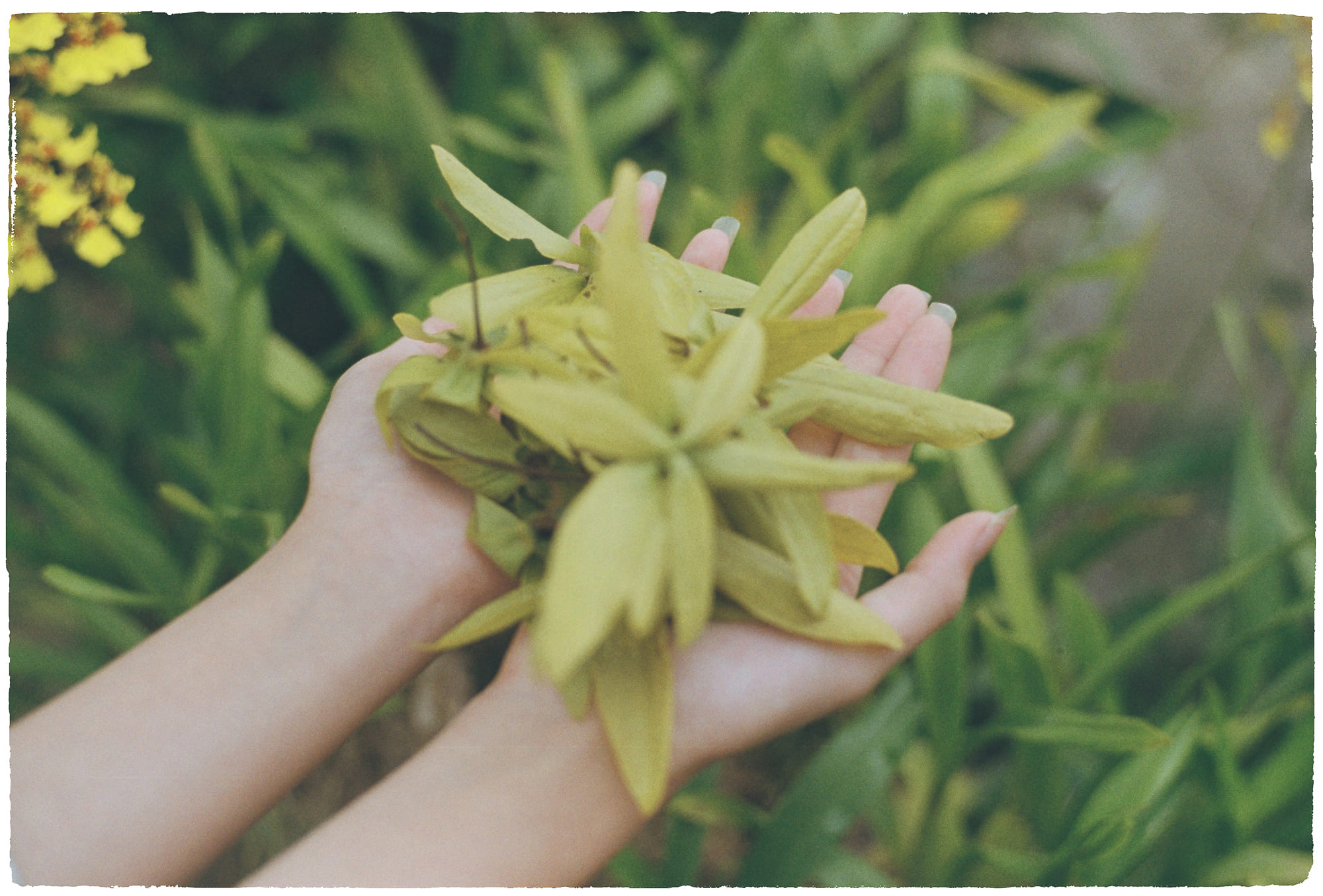 Thập nhị nhân duyên (Dvādasa Nidāna – 十二因緣) là gì? 288 – ton giao, phat giao, duyen khoi, thap nhi nhan duyen, dependent origination, paticca samuppada, nidana, an duyan, vo minh, hanh, thuc, danh sac, luc nhap, xuc, tho, ai, thu, huu, sinh, lao tu, thuc hanh ton giao, kien thuc phat giao, kien thuc ton giao.