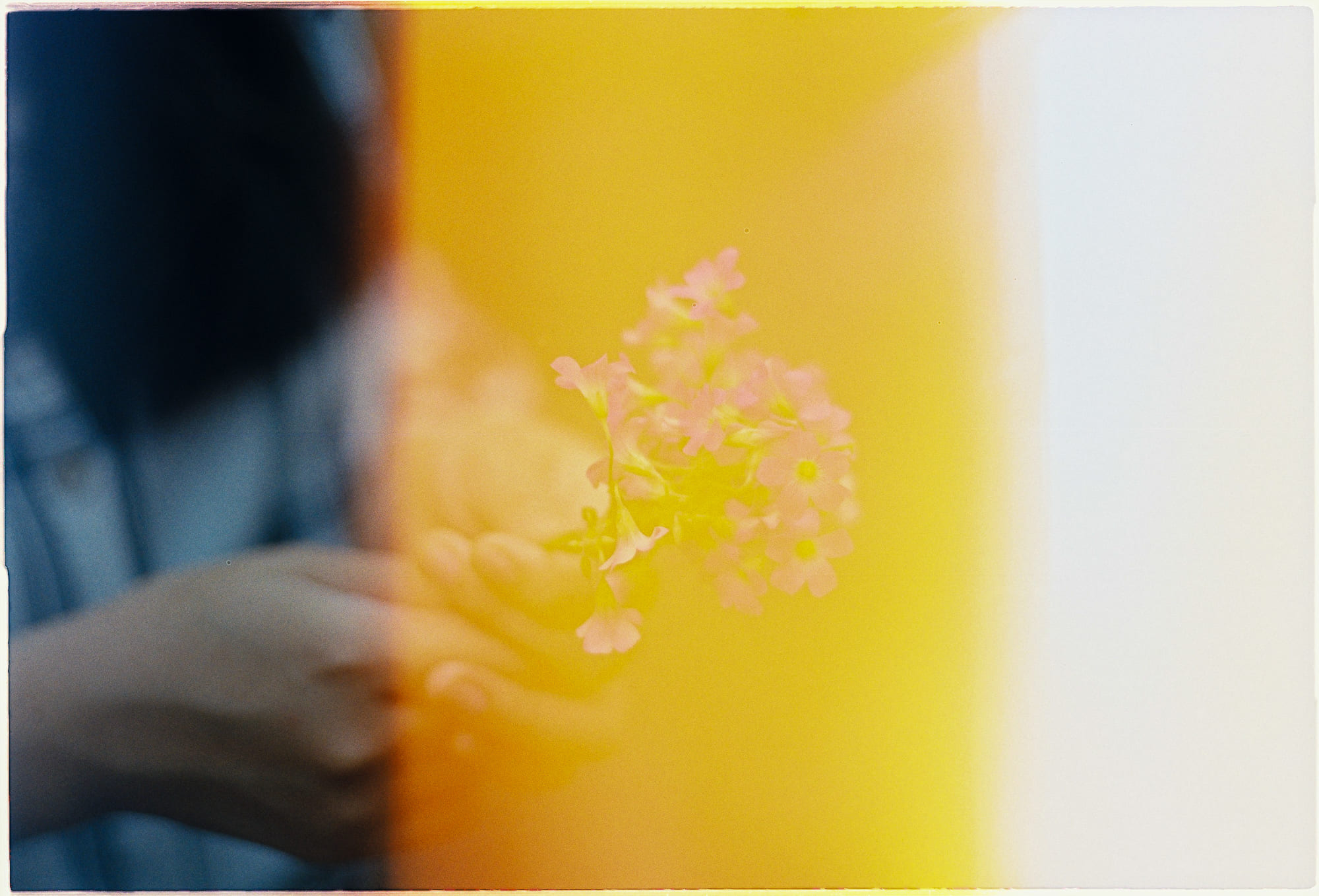 Anh hùng xạ điêu | Chương 18