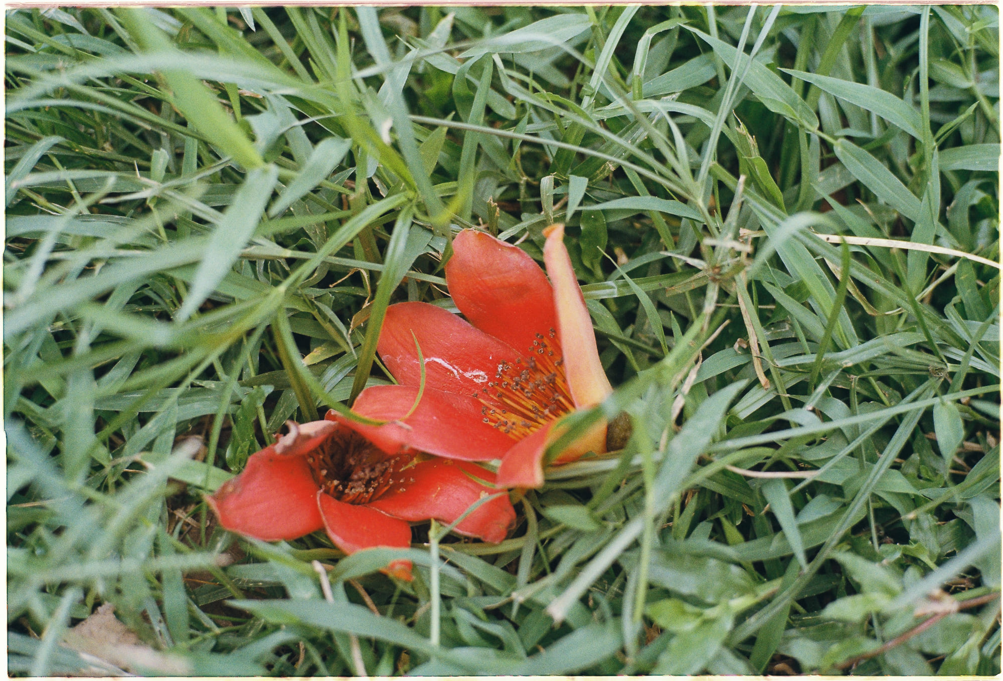 Vì sao chú hề đáng sợ từ rạp xiếc thế kỷ XIX 509 – khoa hoc, lich su, rap xiec, chu he, kinh di, chu he dang so.