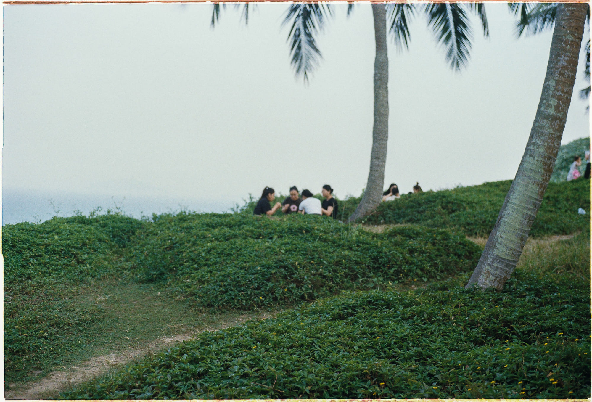 Thời sinh viên đã qua 619 – viet lach, doan van, trai nghiem, hanh trinh tuoi tre, bai hoc cuoi nam, bai hoc cuoi nam 2017, hue, bai hoc cuoi nam 2016.