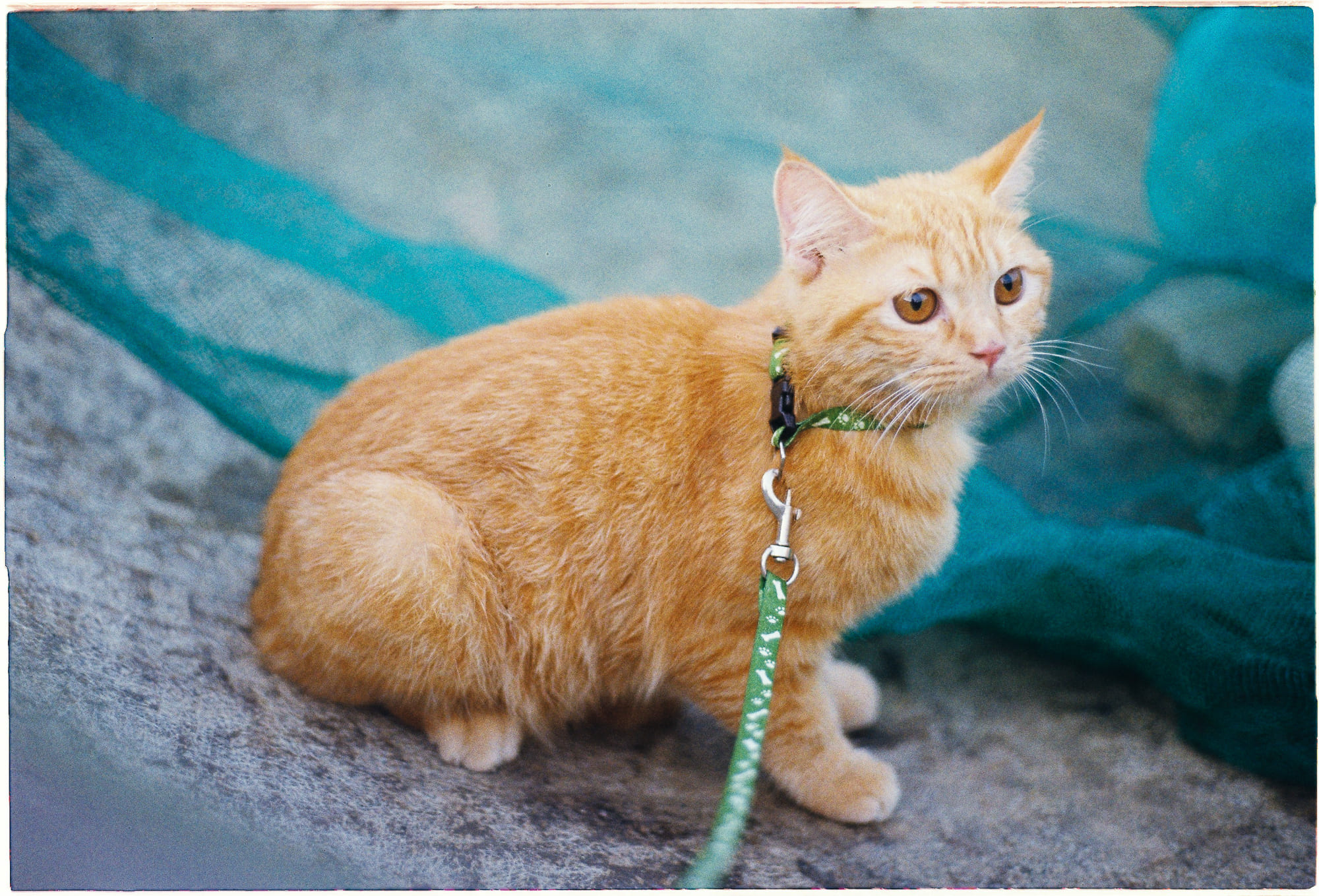 Danh sách theo thẻ bài thien-chua-giao