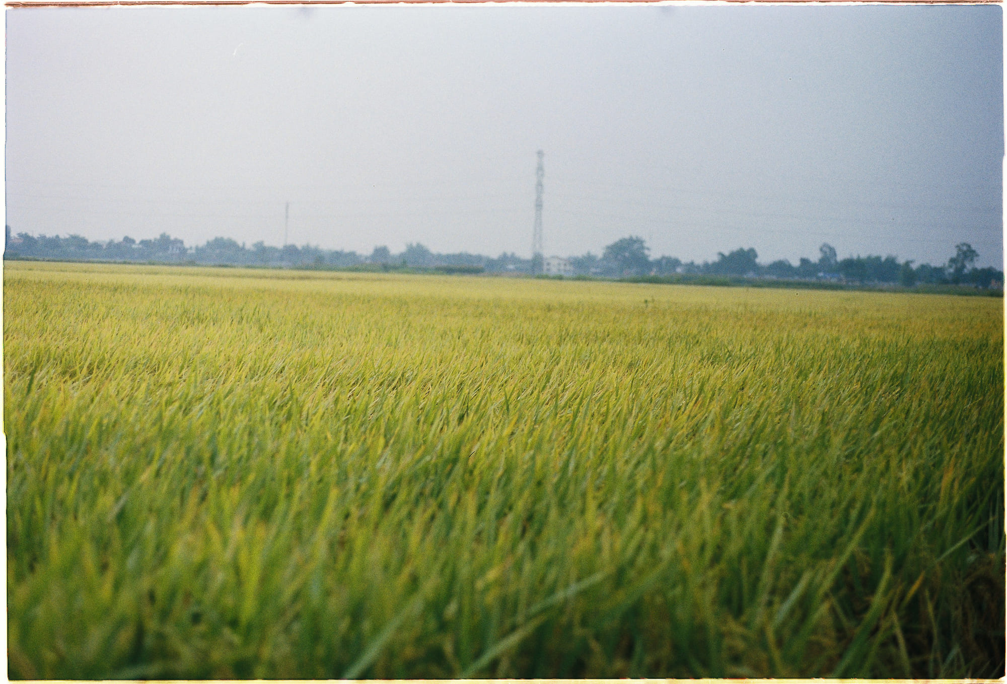 Suy nghĩ logic để trở thành người tốt 845 – triet hoc, khoa hoc, nhan thuc, tu duy, suy nghi, suy nghi nguoi tot.