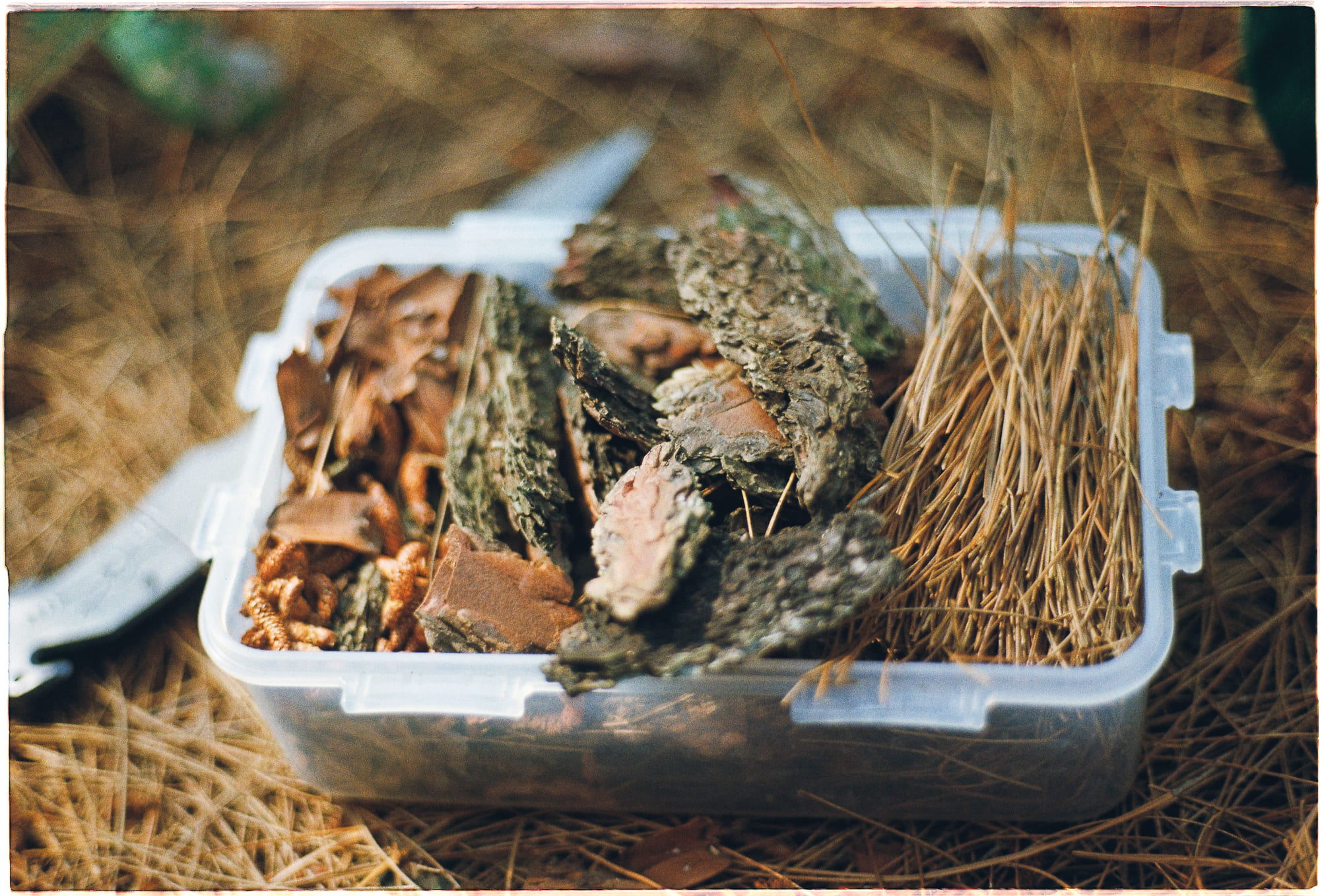 Tiếp nhận tích cực cân bằng suy nghĩ tiêu cực 190 – phat trien ban than, khoa hoc, tri tue xuc cam, ky nang, ky nang chuyen mon, tam ly hoc, nhan thuc ban than, cai thien ban than, tiep nhan tot dep, tieu cuc, bao bo, tu duy, phuong phap heal, don nhan tich cuc.