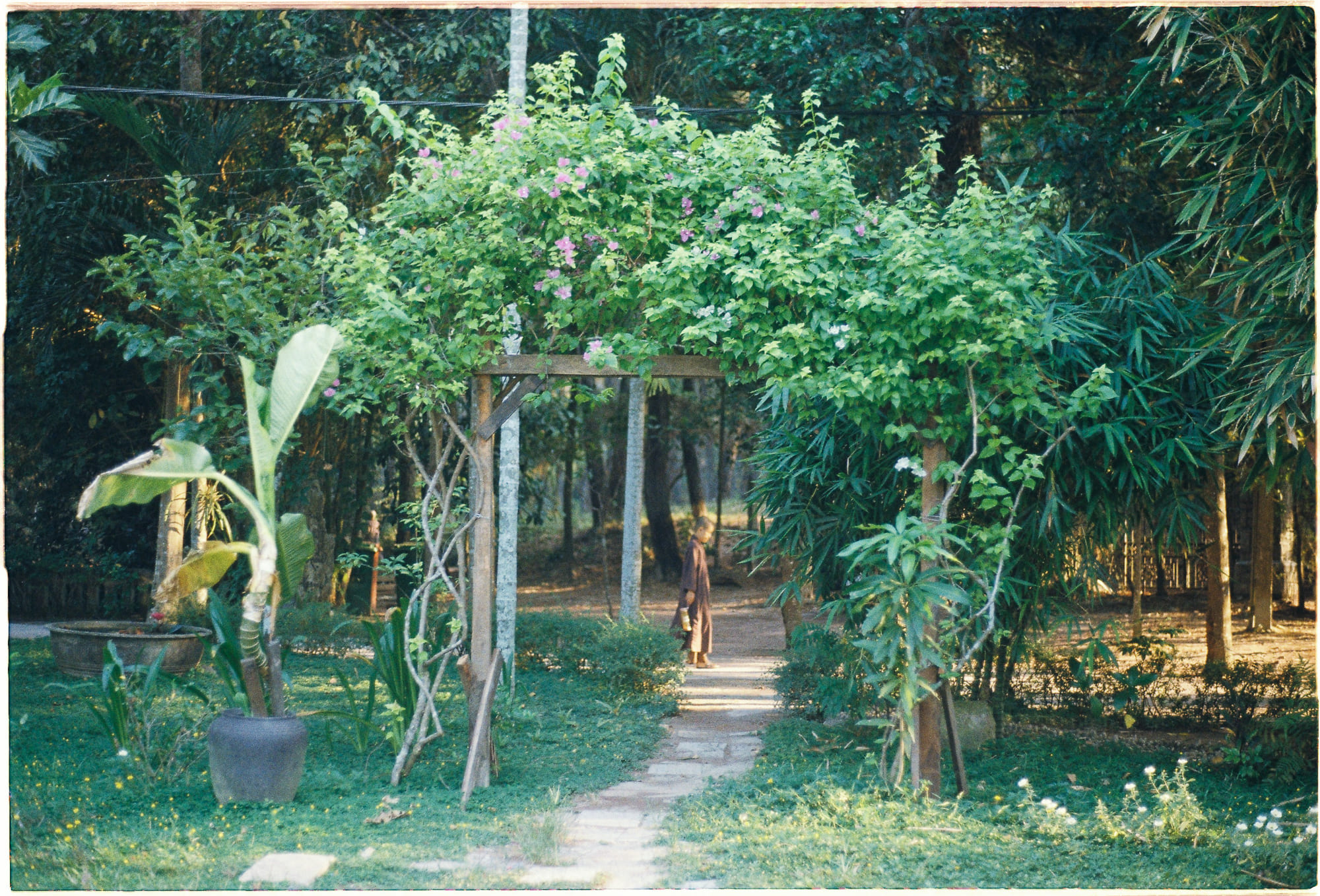 Ngọn lửa âm ỉ của việc trở thành chính mình 281 – viet lach, doan van, nghe thuat, ngon lua, ngon lua am i, tro thanh chinh minh, ban than.