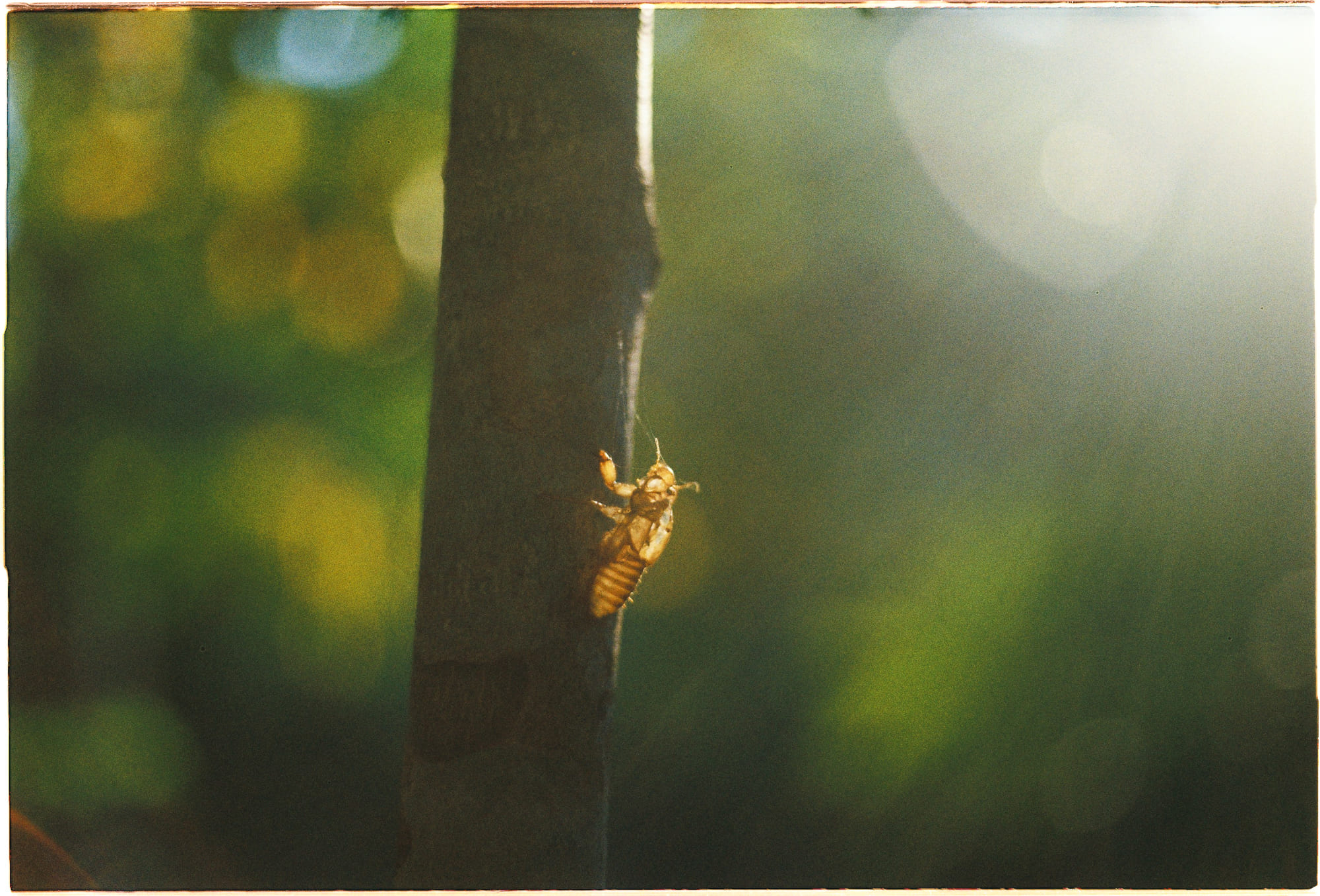 Danh sách theo thẻ bài thien-chua-giao, trang 2