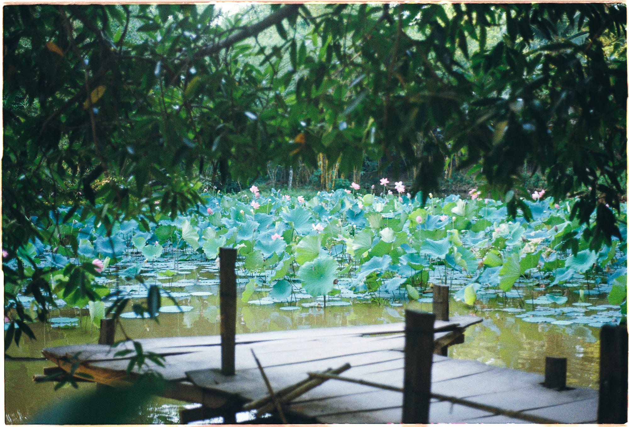 Đường đi viên đạn không tạo hình parabol 946 – khoa hoc, vu tru, vat ly thien van, khoa hoc vu tru, vat ly luong tu, parabol, vien dan, duong di vien dan, dan dao.