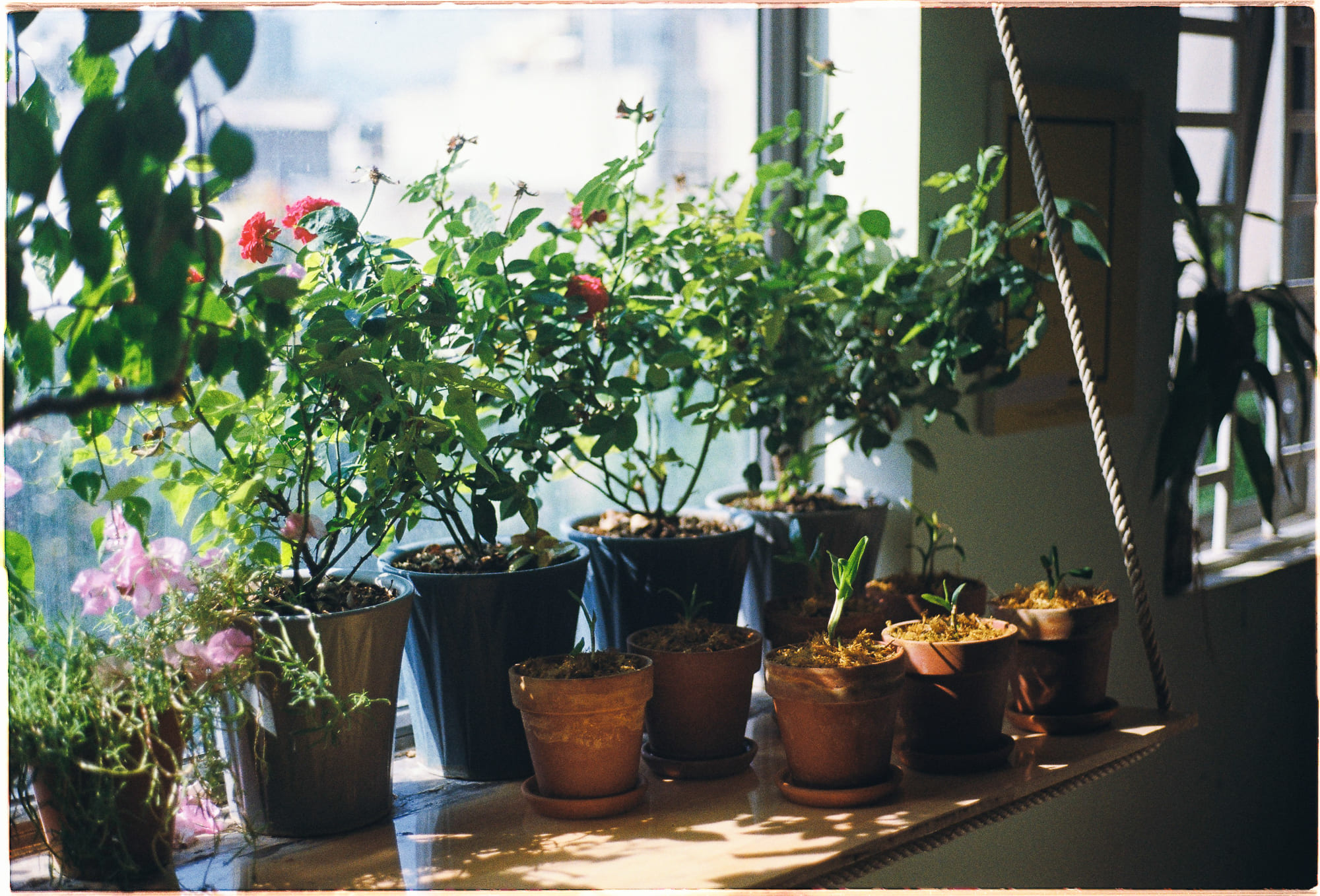 Chánh niệm cân bằng tinh thần và công việc Chánh niệm cân bằng tinh thần và công việc 644 – viet lach, ton giao, phat giao, thien van, thuc hanh ton giao, chanh niem cong viec.