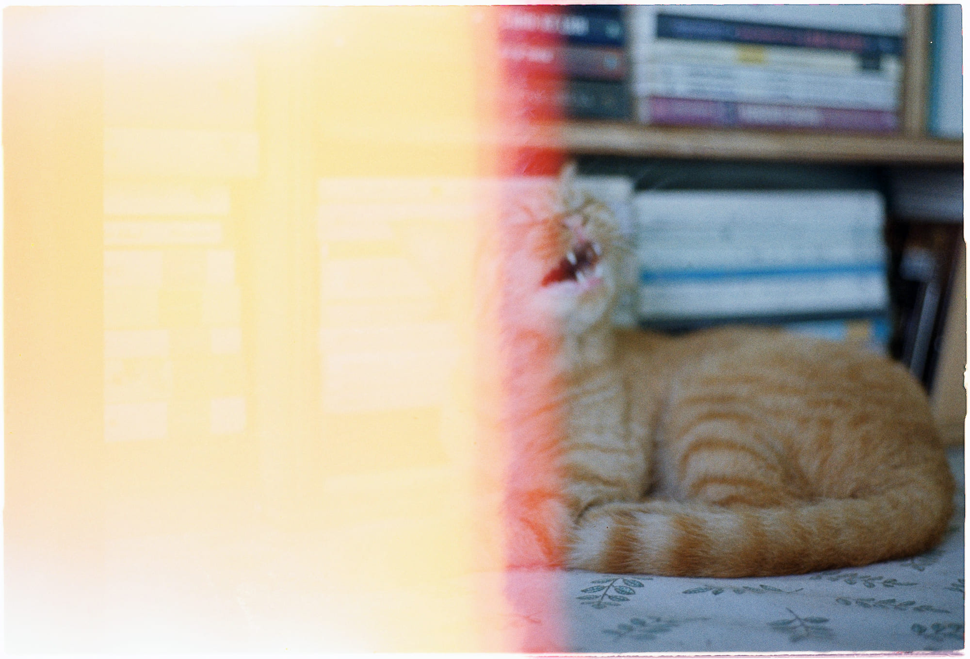 Người già Nga hoài niệm thời Xô Viết 606 – khoa hoc, lich su, nghien cuu, chu nghia xa hoi, lien bang xo viet, hoai niem, qua khu, hoai niem xo viet.