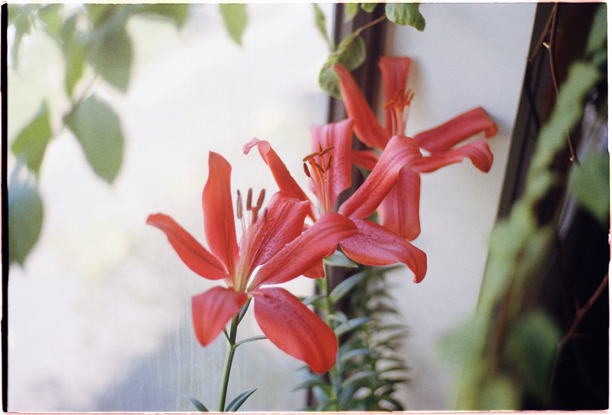 Tôn giáo có làm giảm tình trạng trầm cảm không? 831 – niem tin, xa hoi hoc, tam ly hoc, tu duy, tram cam, ton giao, xoa diu tram cam.