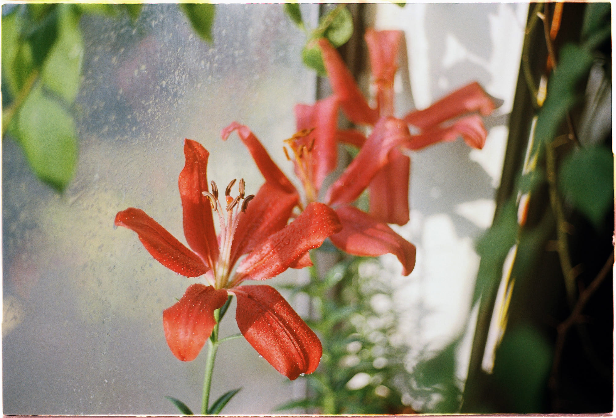 Cách ngụ ngôn kể chuyện đang phản ánh điều gì? 529 – viet lach, doan van, ngu ngon, ke truyen ngu ngon.