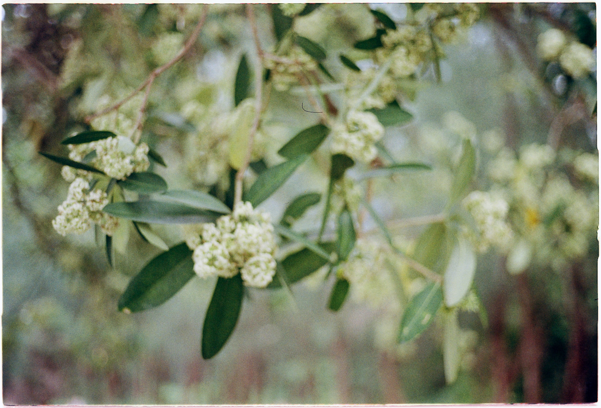 Danh sách theo thẻ bài thuc-hanh-ton-giao, trang 2