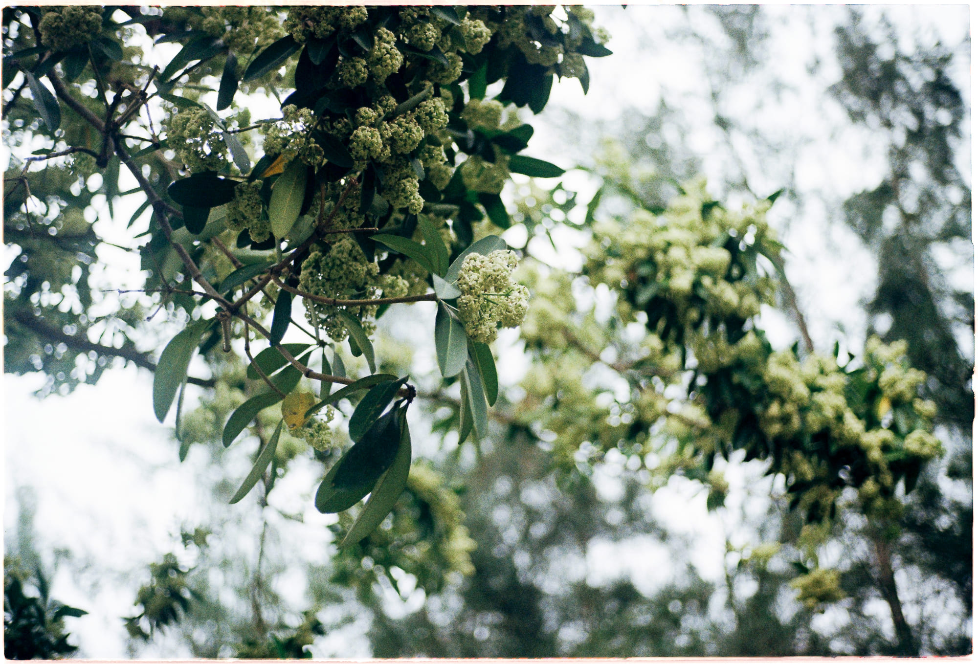 Văn hay trong hiện tại, chữ tốt ở tương lai