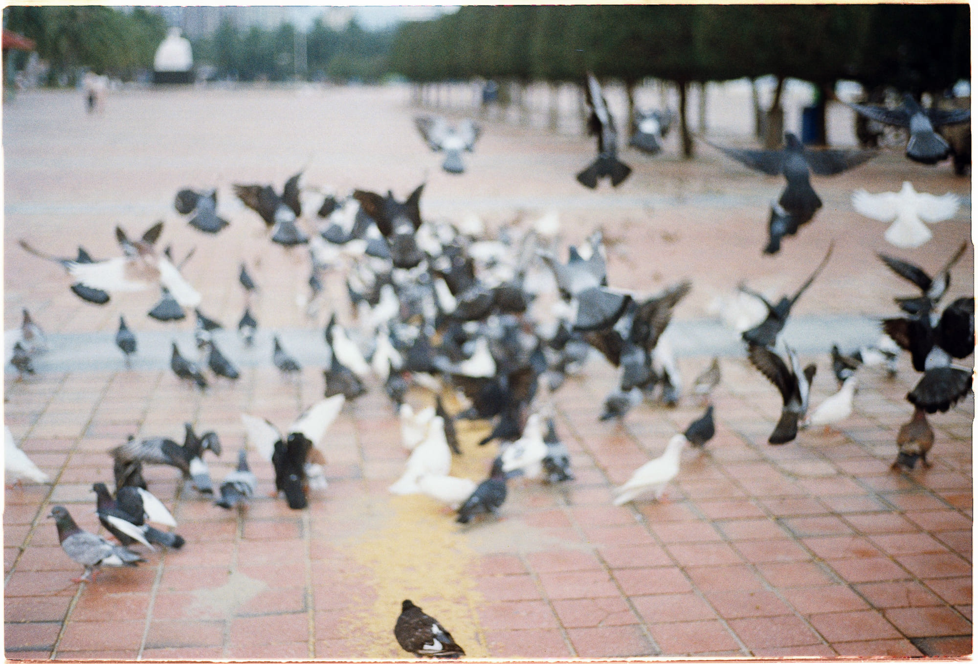 Sự đồng cảm là tất cả 234 – phat trien ban than, khoa hoc, ky nang, ky nang chuyen mon, thanh cong, tam ly hoc, nhan thuc ban than, cai thien ban than, dong cam, dong cam tuyet doi.