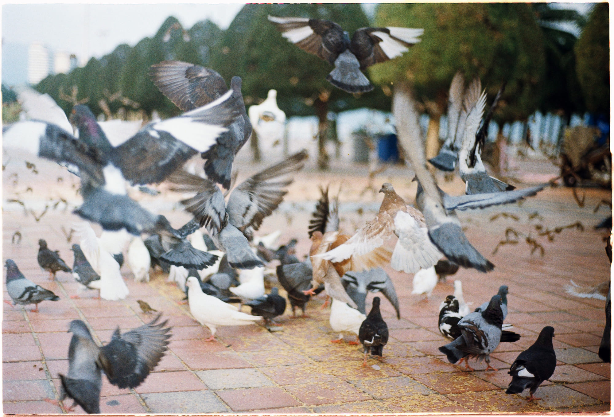 Nhiệt độ nhiệt đới làm tăng carbon trong không khí 009 – khoa hoc, tien hoa, bien doi khi hau, nong len toan cau, nhiet do nong len, dat nhiet doi, nhiet do nhiet doi.