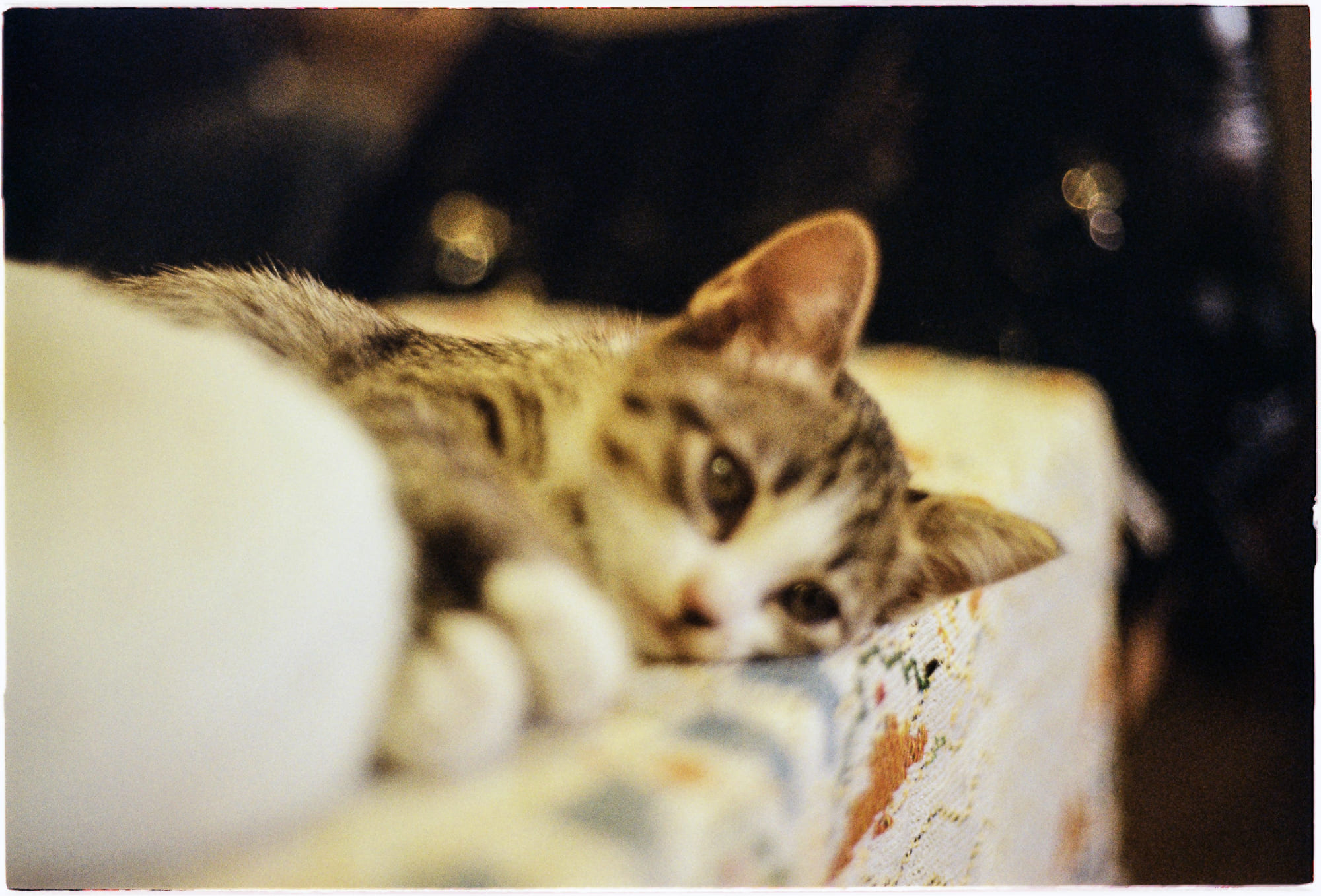 Danh sách theo thẻ bài tam-ly-hoc