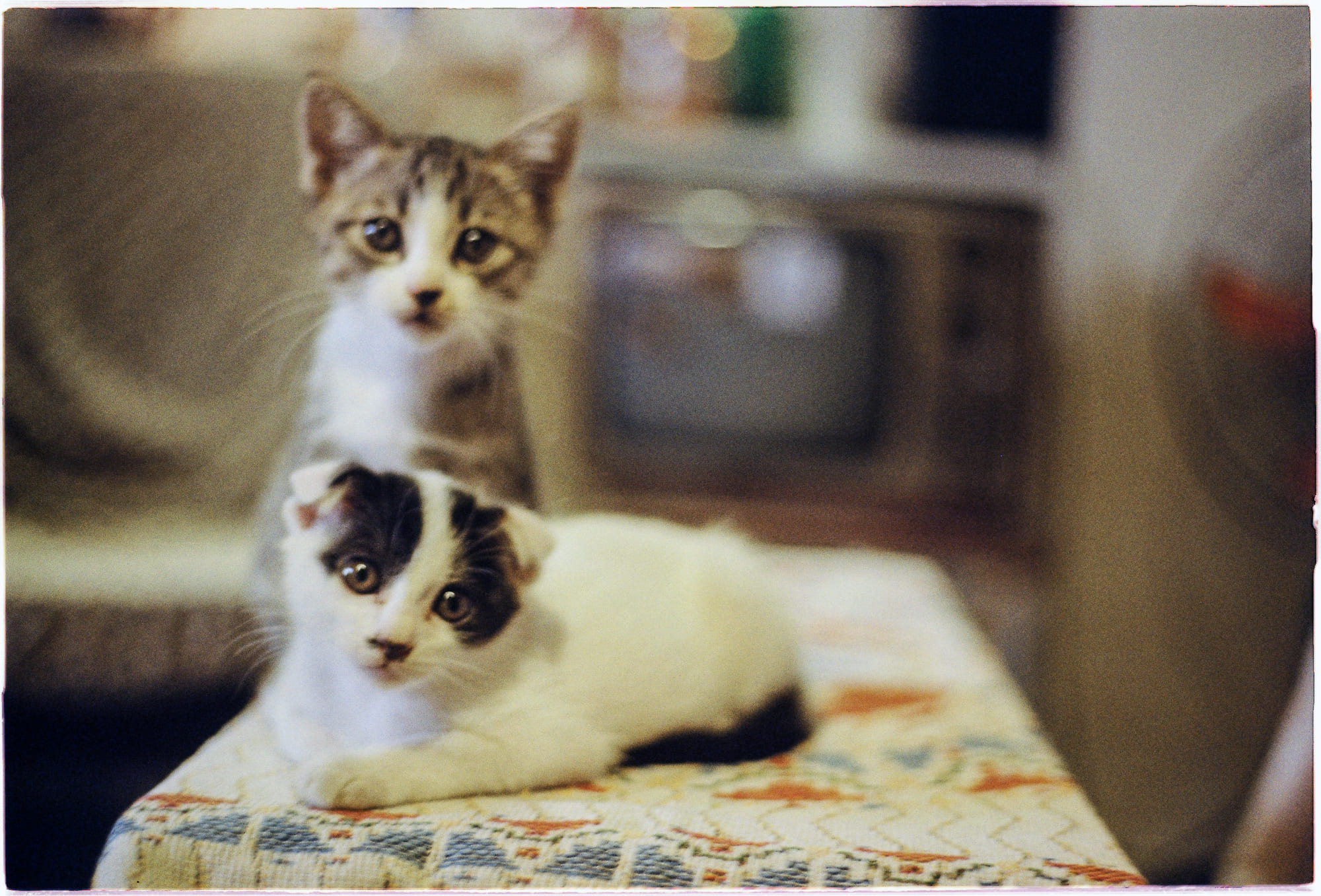 Danh sách theo thẻ bài sinh-hoc, trang 2